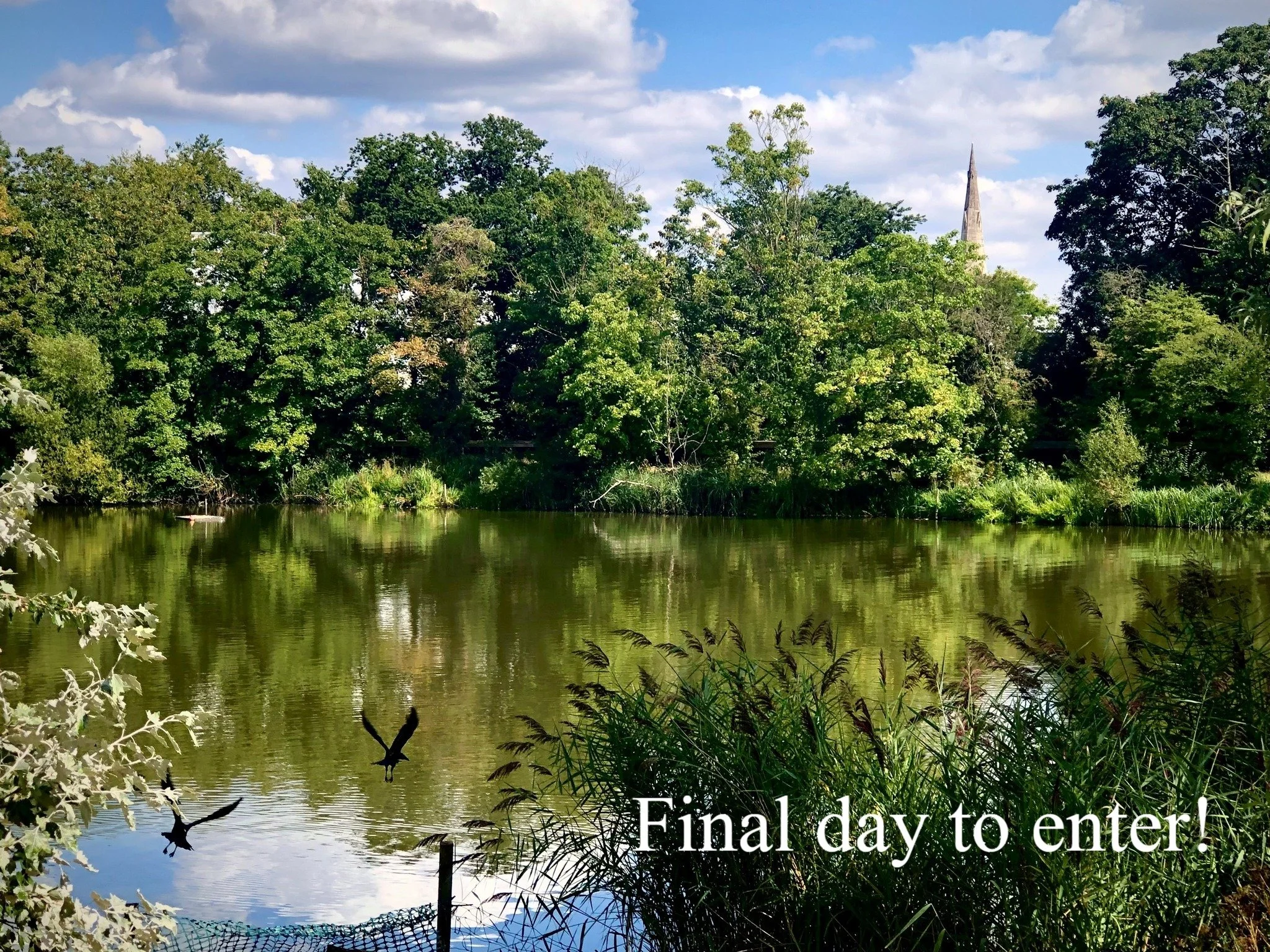Today is the FINAL DAY to enter our annual photo competition with the entry window closing at midnight tonight. With adults and under 18s categories, cash prizes and a chance to be featured in the official Hampstead Heath 2027 calendar, what are you 