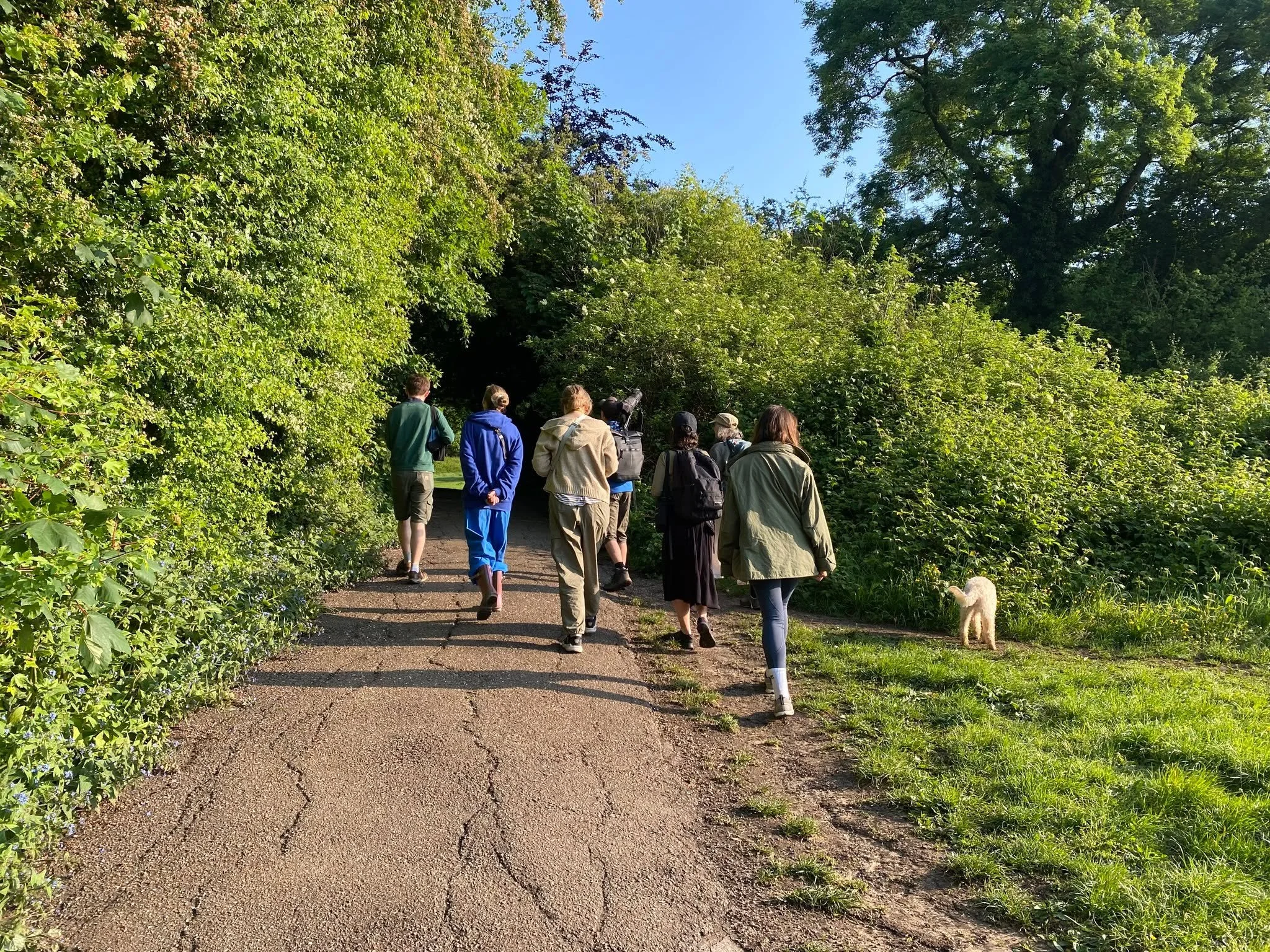 We're friendly, we promise! As a Friend of Heath Hands you have access to our full programme of events free of charge, in the past two months alone that includes:

- Guided Bat Walks
- Insect Safari
- Nature Journaling
- Butterfly ID Walk
- Forest Ba
