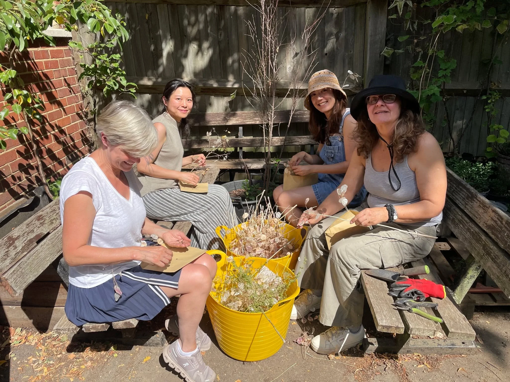 Our next drop-in gardening session is tomorrow from 2-3pm - come along and join the fun! Here's some recent participants harvesting Honesty seeds, which we'll grow in our nursey and distribute across our sites next year 🪴

#gardening #dropingardenin