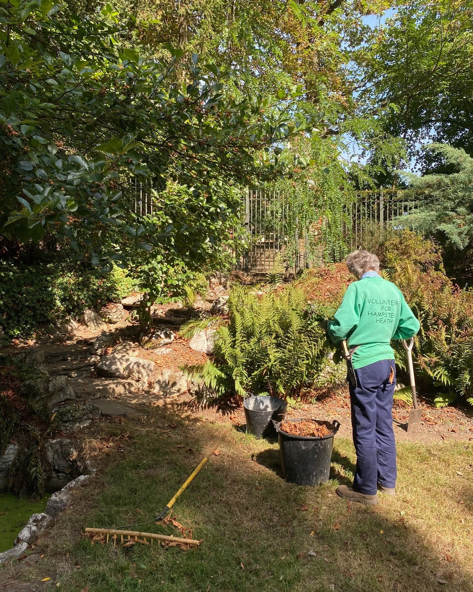 Our conservation volunteers have been catching the last of the summer sun this week during a maintenance session at Athlone Garden, refreshing some of the areas that caught a bit of a crisp during the heatwave(s)! We've been very glad to see some gre
