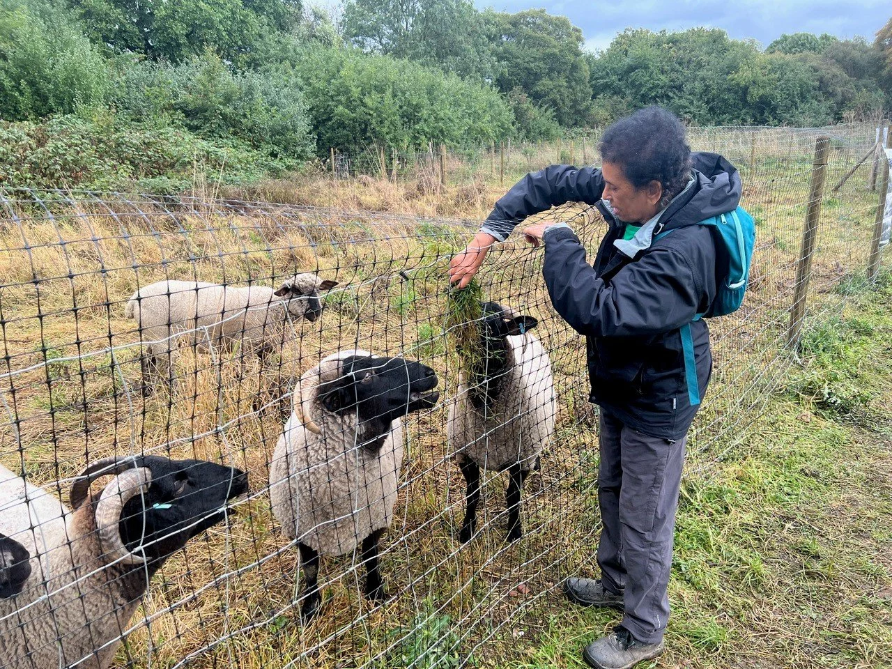 We've got baaa-rilliant news - the Heath sheep are back! 🐑 
Grazing up on the Heath Extension,  our wooly friends will be hanging out until the 20th September, teaching eveyone about the benefits of grazing on biodiversity. Make sure to say hello if