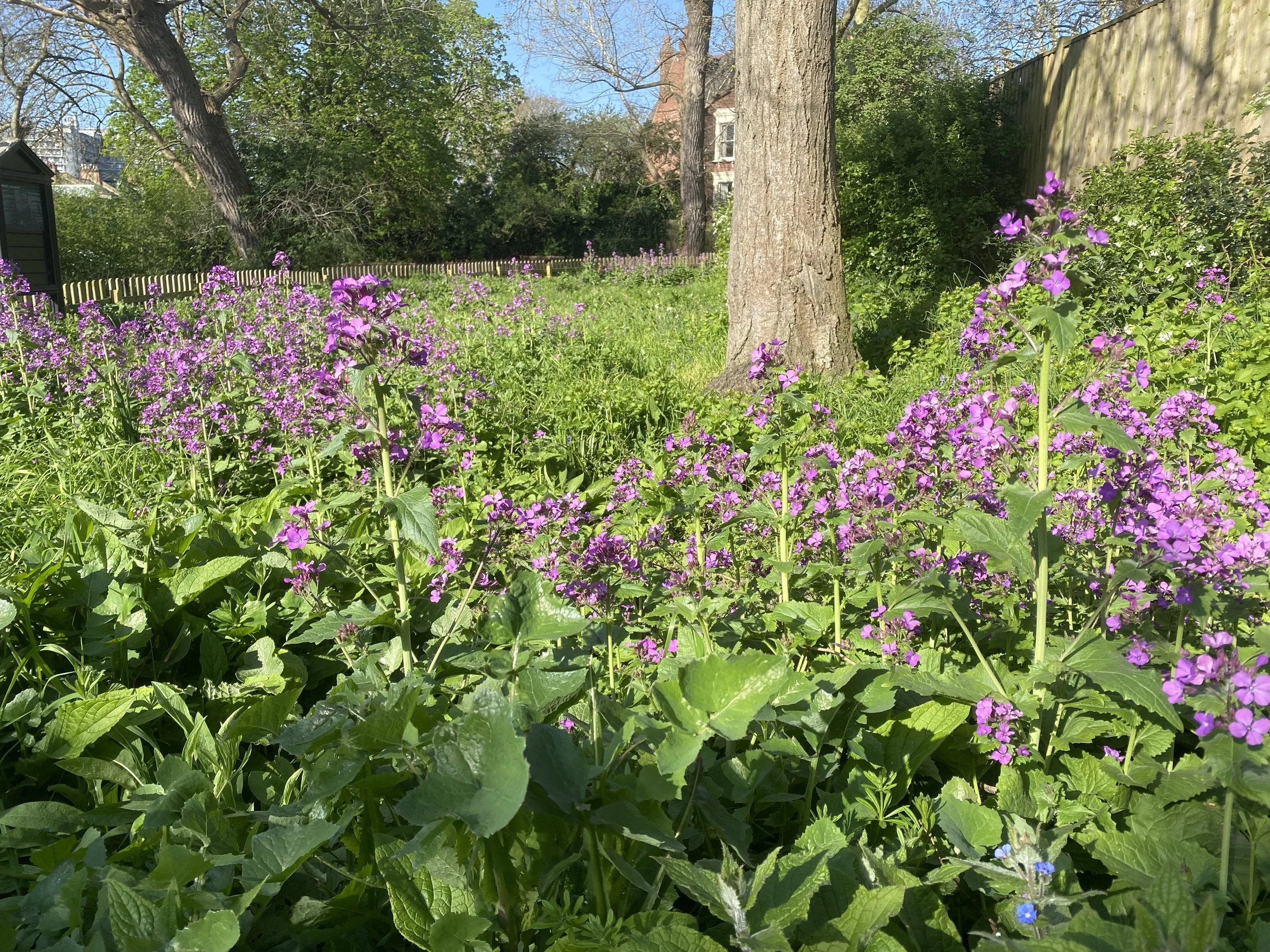 Horticulture at Heath Hands