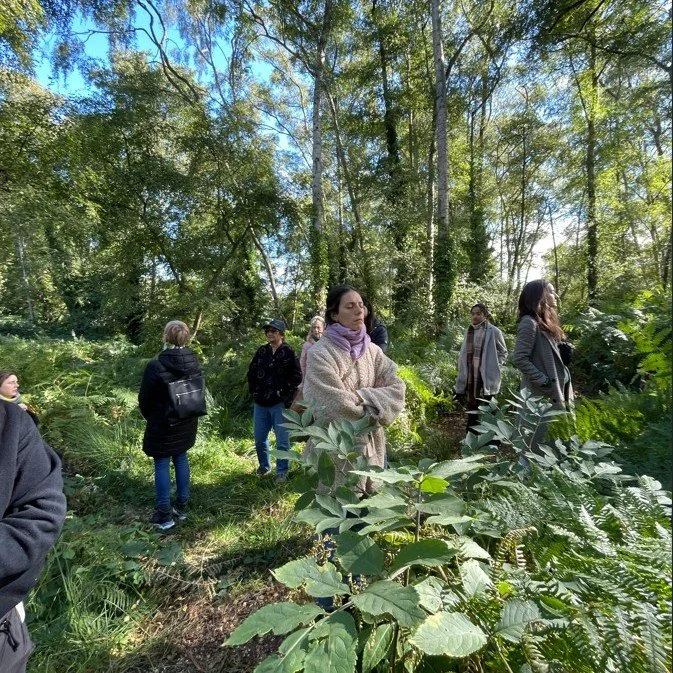 September can be overwhelming at times, with that 'start of the new term' feeling persisting well into adulthood! Our Forest Bathing sessions offer a chance to slow down and connect meaningfully with your surroundings, relieving the pressure of your 
