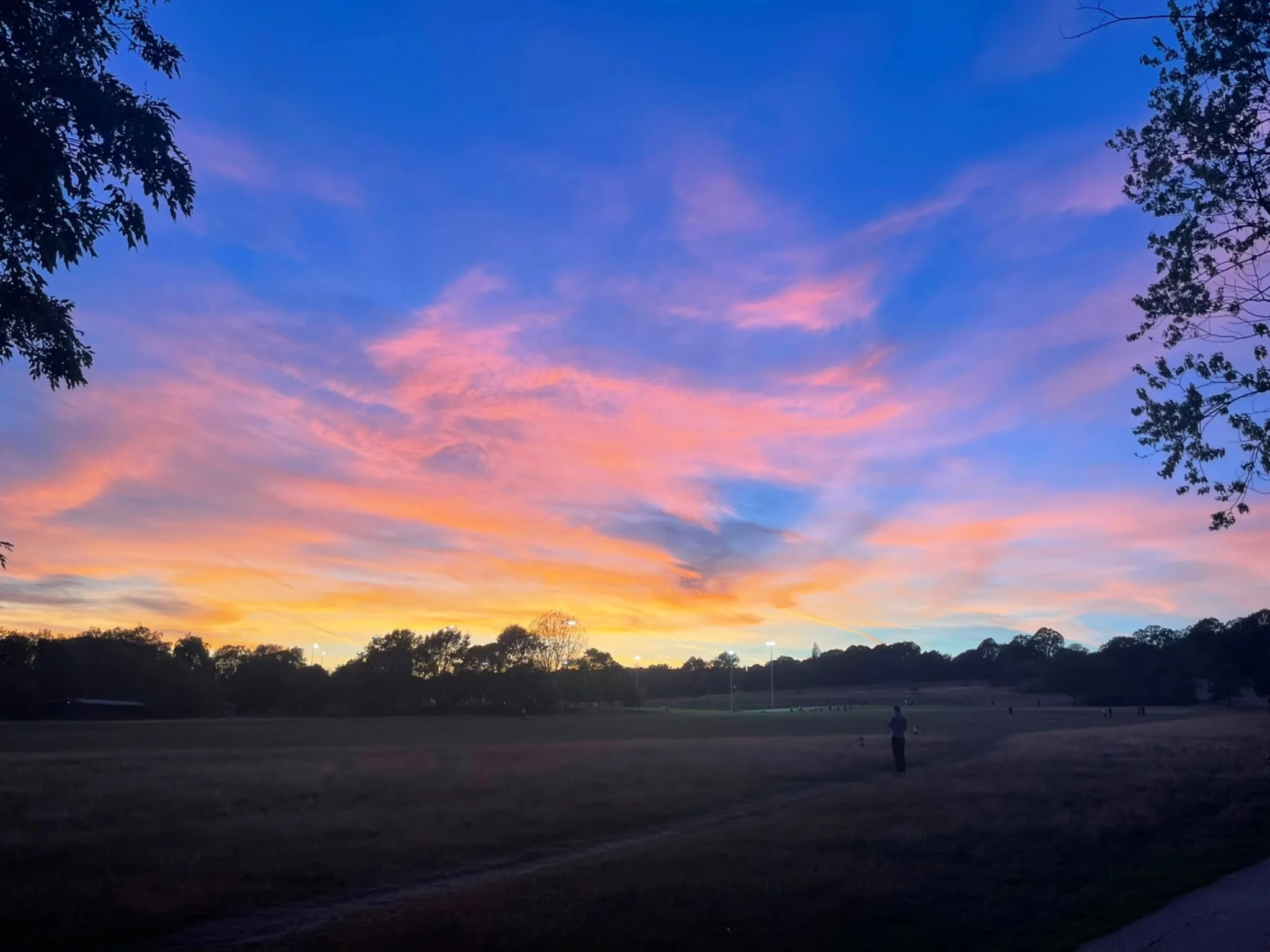 Beautiful skies on Hampstead Heath this evening! #hampsteadheath #sky #sunset #autumn #clouds