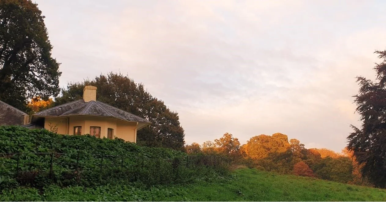 The Dairy Interpretation Centre is OPEN this Sunday 11-3. Come buy to take a peek at our cabinat of curiosities, give our tree trail a go or pick up some nature spotter sheets.

#hampsteadheath #kenwood #kenwoodestate #englishheritage #nature #urbann