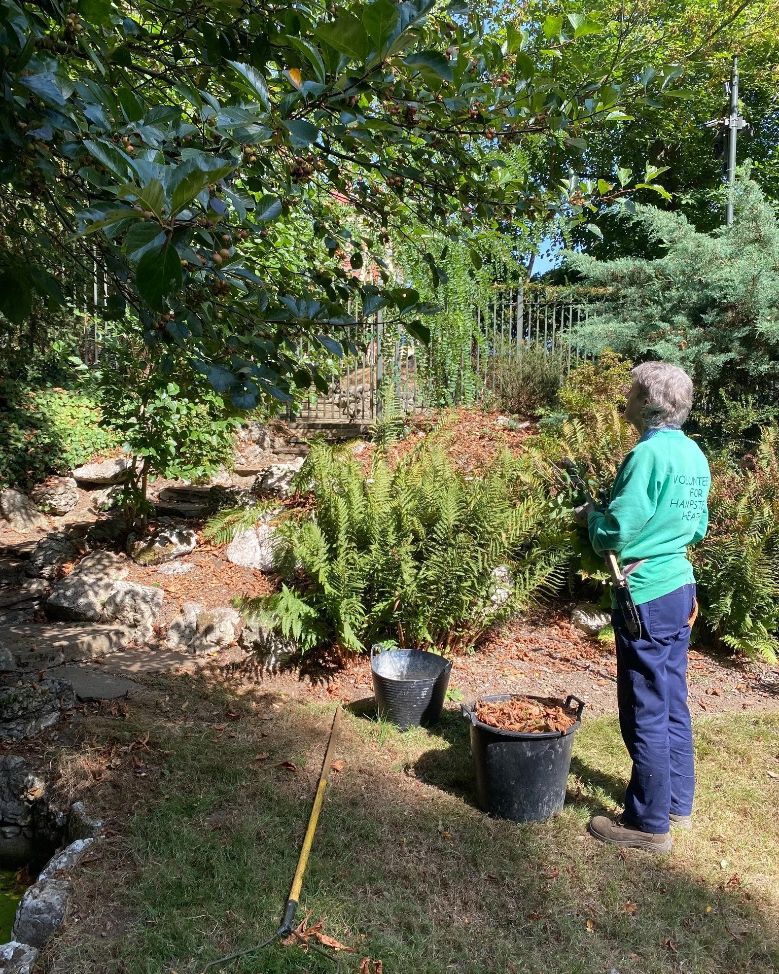 We've got our very first Queen's Greens volunteer session coming up this week, and there's till time to sign up! 🌷Join the Queen's Park team this Wednesday at 10:30 for a horticulture-focused session - book via the link below.

https://www.heath-han