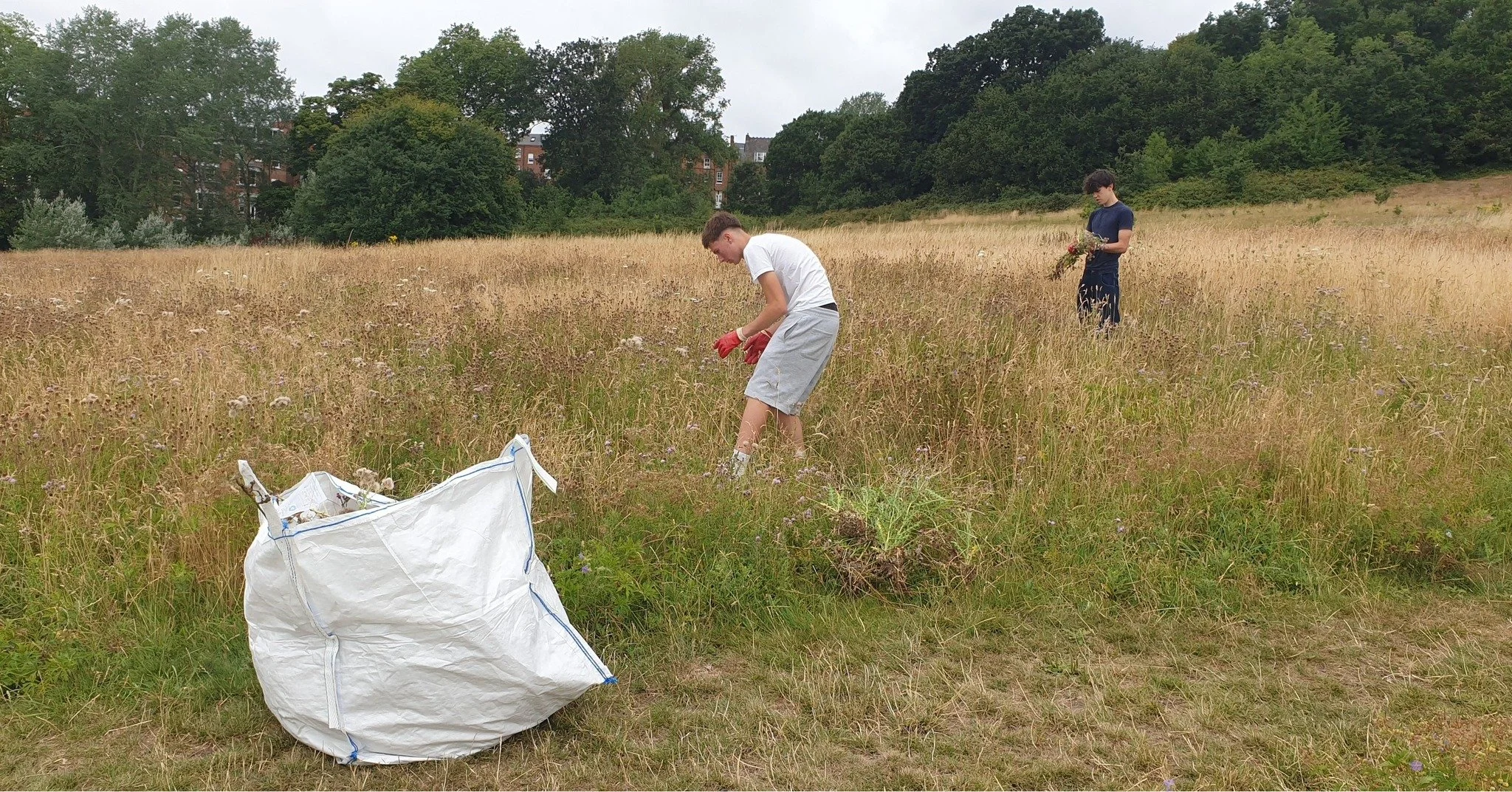 Help us fund the next generation of changemakers! 
Our Climate Champions crowdfunder will provide an entryway to the conservation sector for local young people, as well as free climate-related resources and guidance for the general public.
With all d