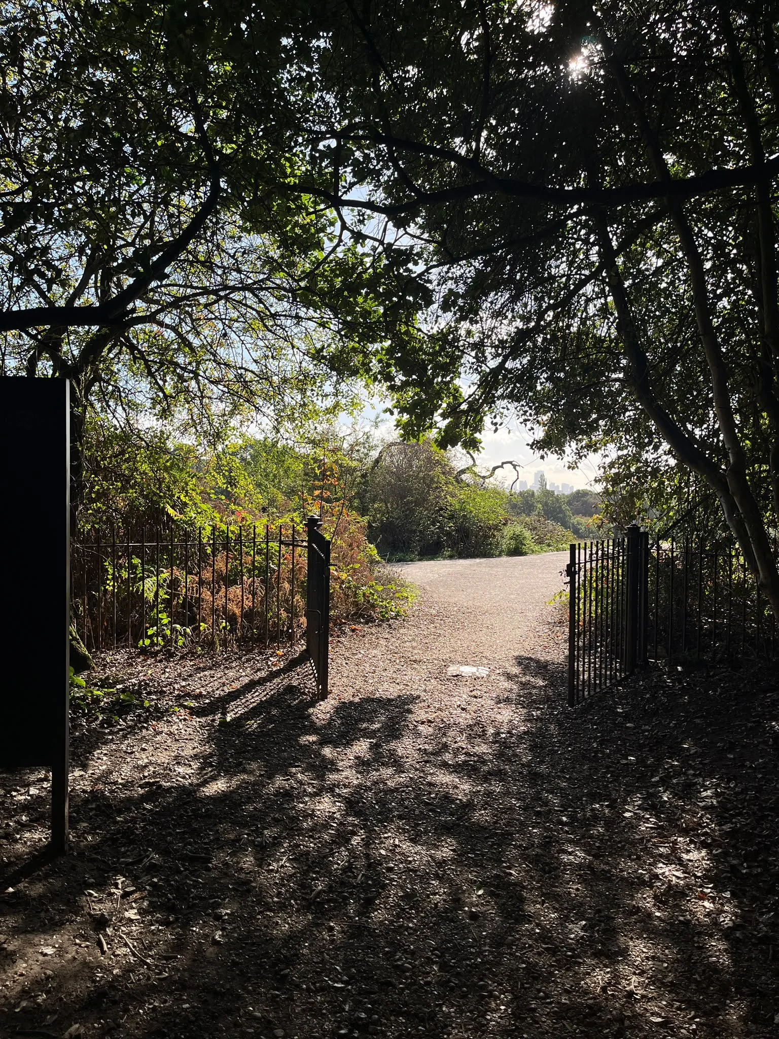 Nothing like starting the weekend off right with a walk around our beautiful Hampstead Heath 🌳

#hampsteadheath #londonnature #urbbannature #naturewalks #northlondron #conservation