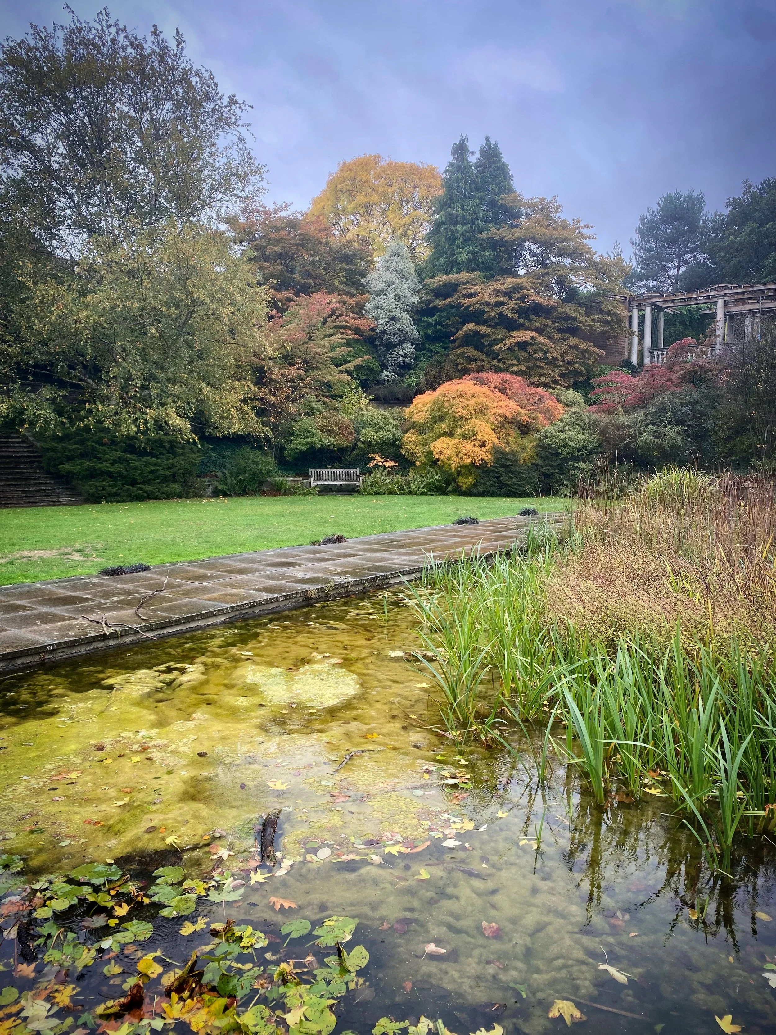 Properly autumnal on the Heath today! 

#hampsteadheath #autumn #ponds #hilldgardenandpergola #goldershillpark