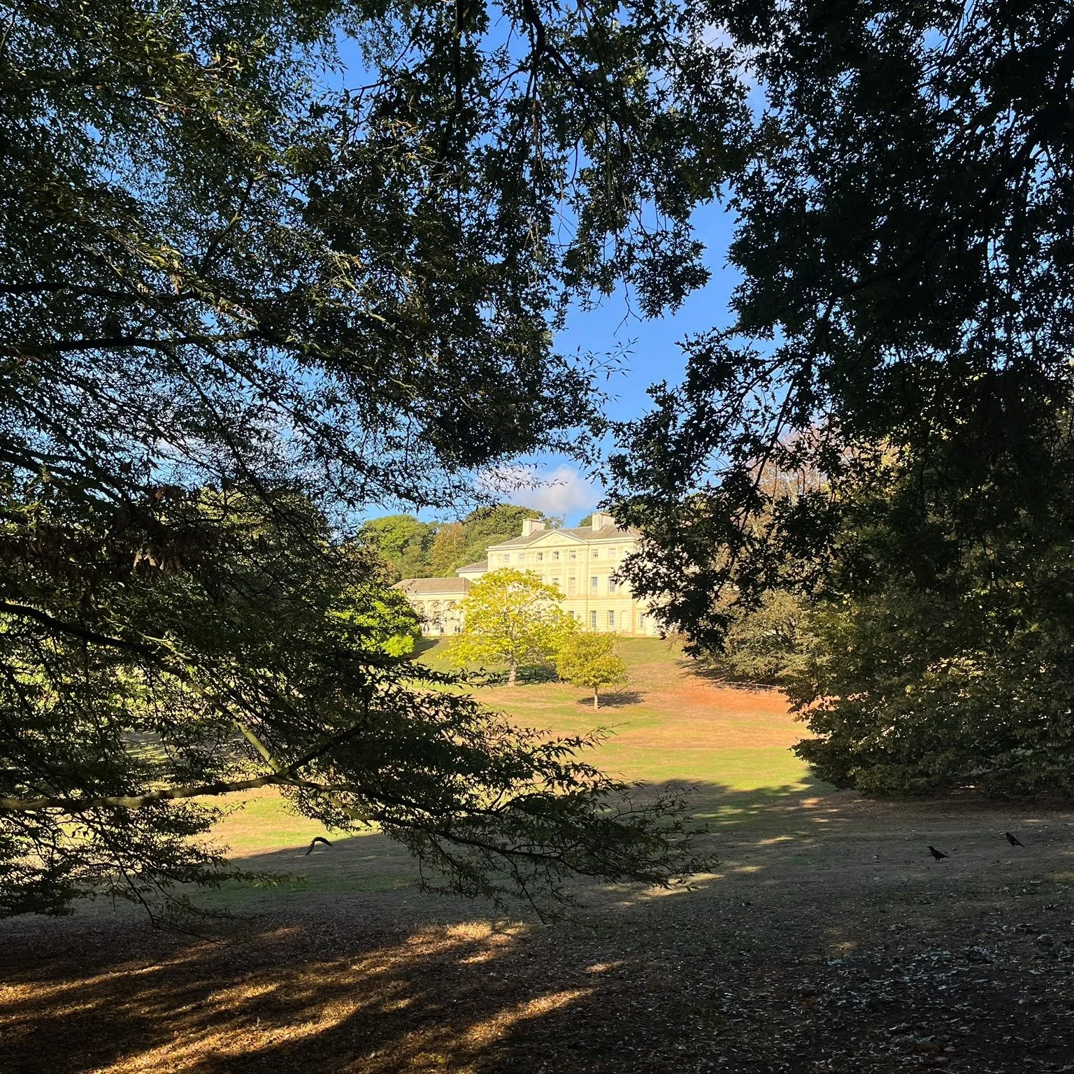 The Kenwood Estate is looking gorgeous in the Autumn sun 🍂 If you're strolling by this Saturday make sure to pop into our Dairy Interpretation Centre, open 11-3. We'll have spotter sheets, free nature resources and copies of the Hampstead Heath 2027