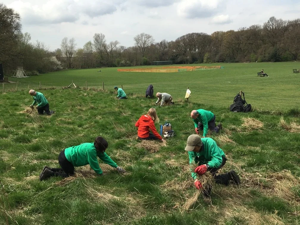 Volunteers at Highgate Wood