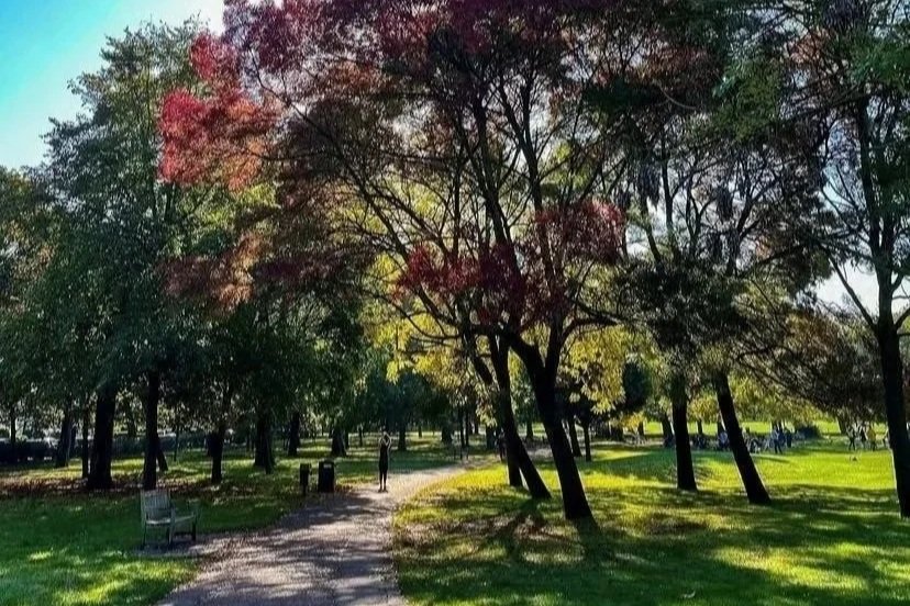 Queen's Park path
