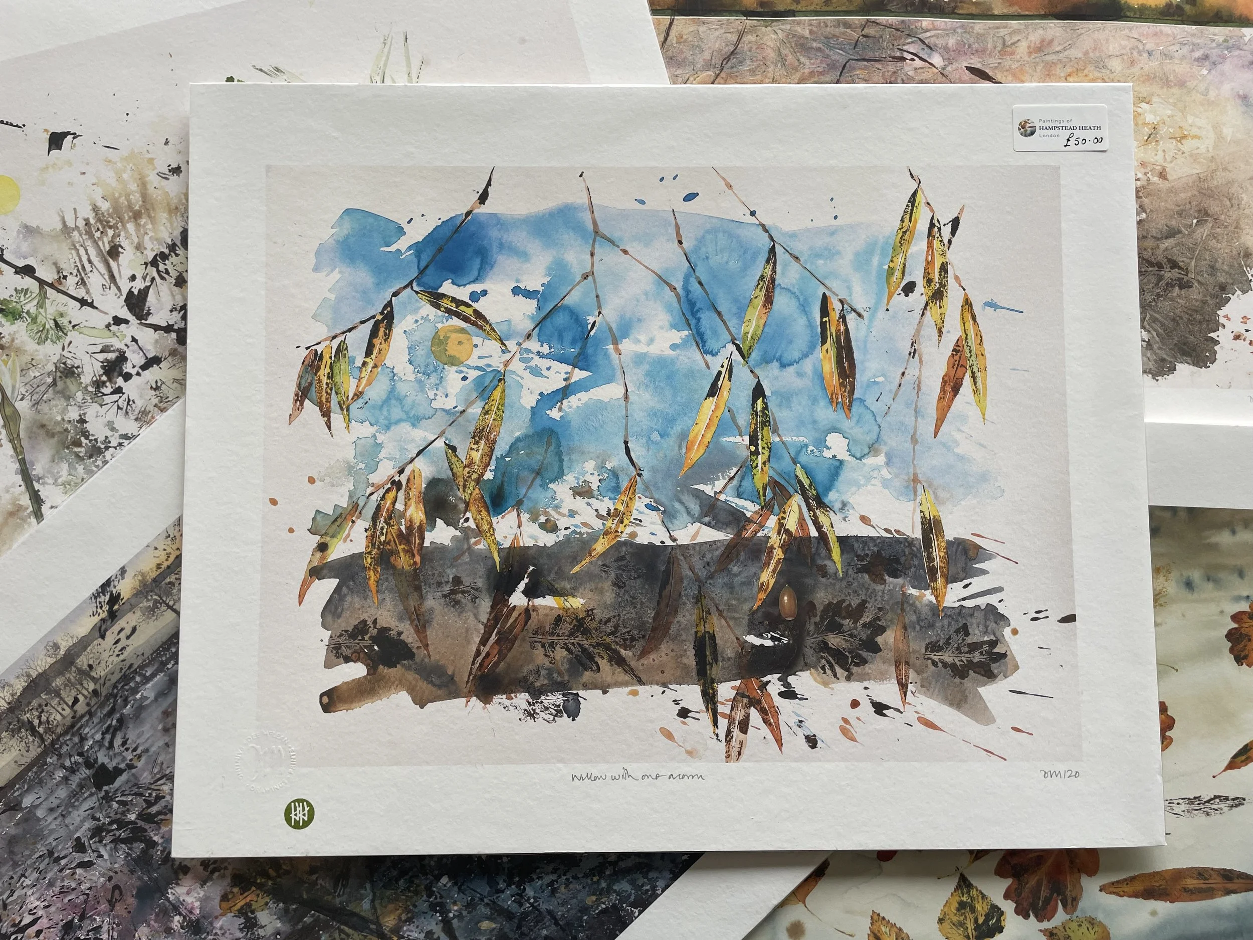 Willow With One Acorn Art Print