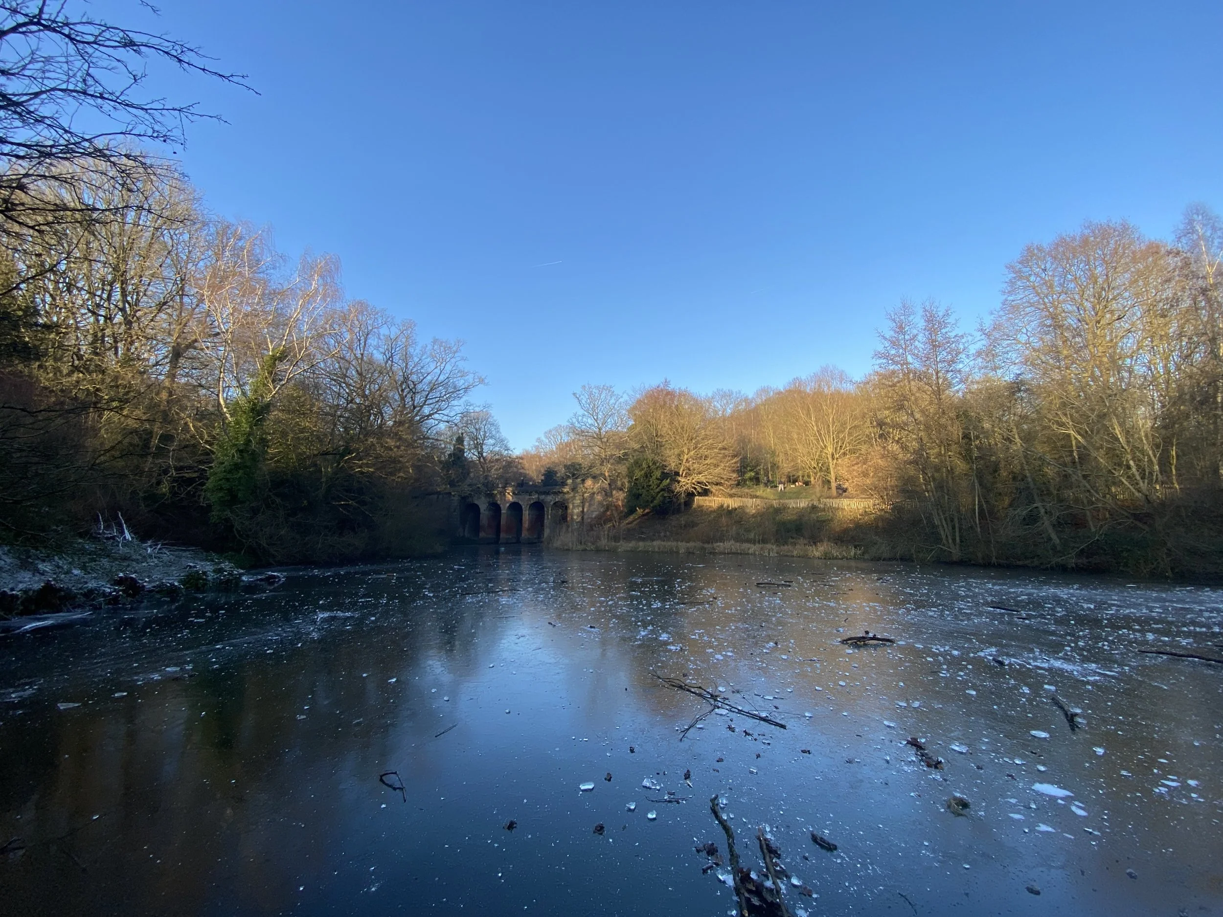 Hampstead Heath ice