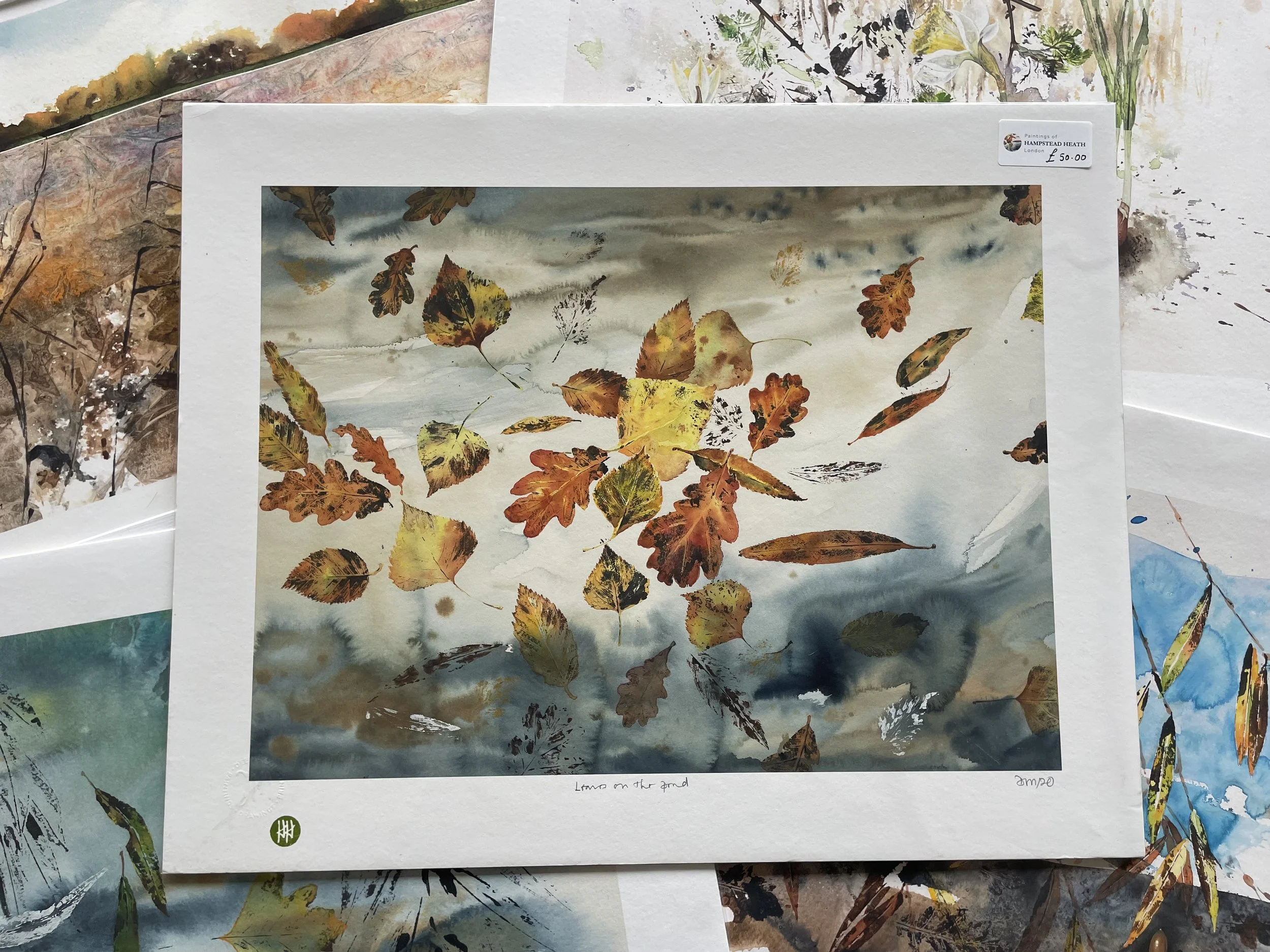 Leaves on the Pond Art Print