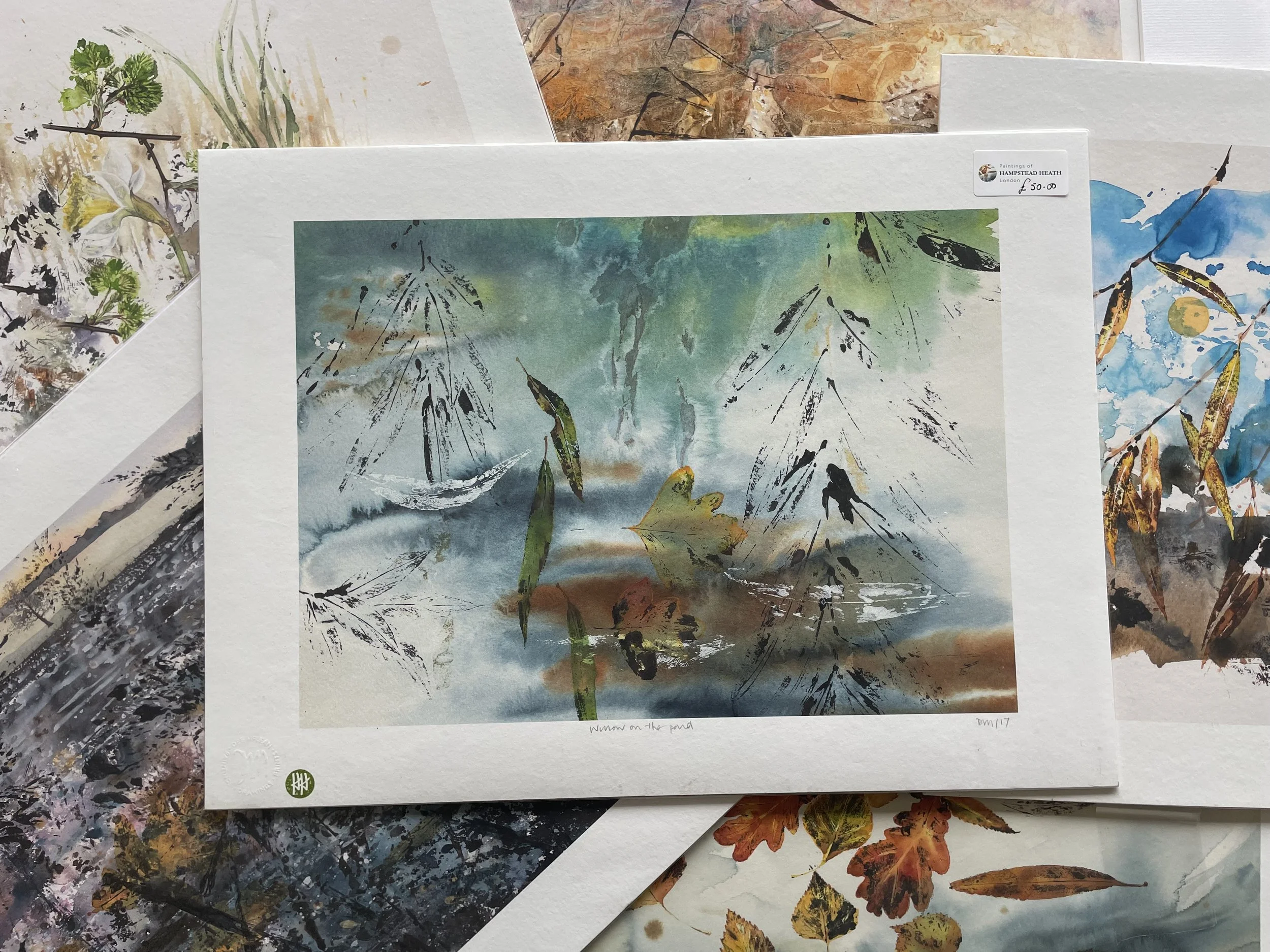 Wilow on the Pond Large Art Print