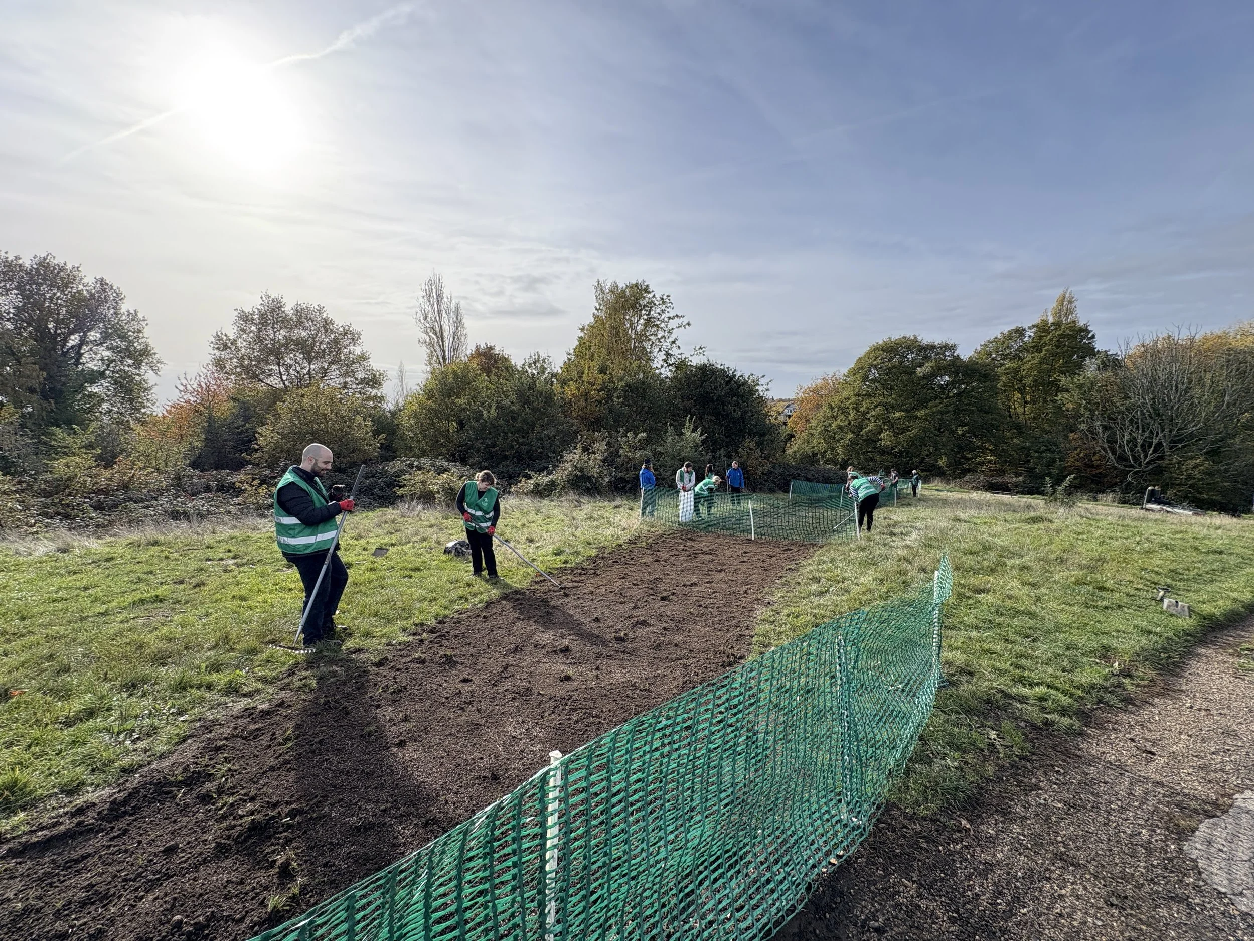 Parliament Hill path work