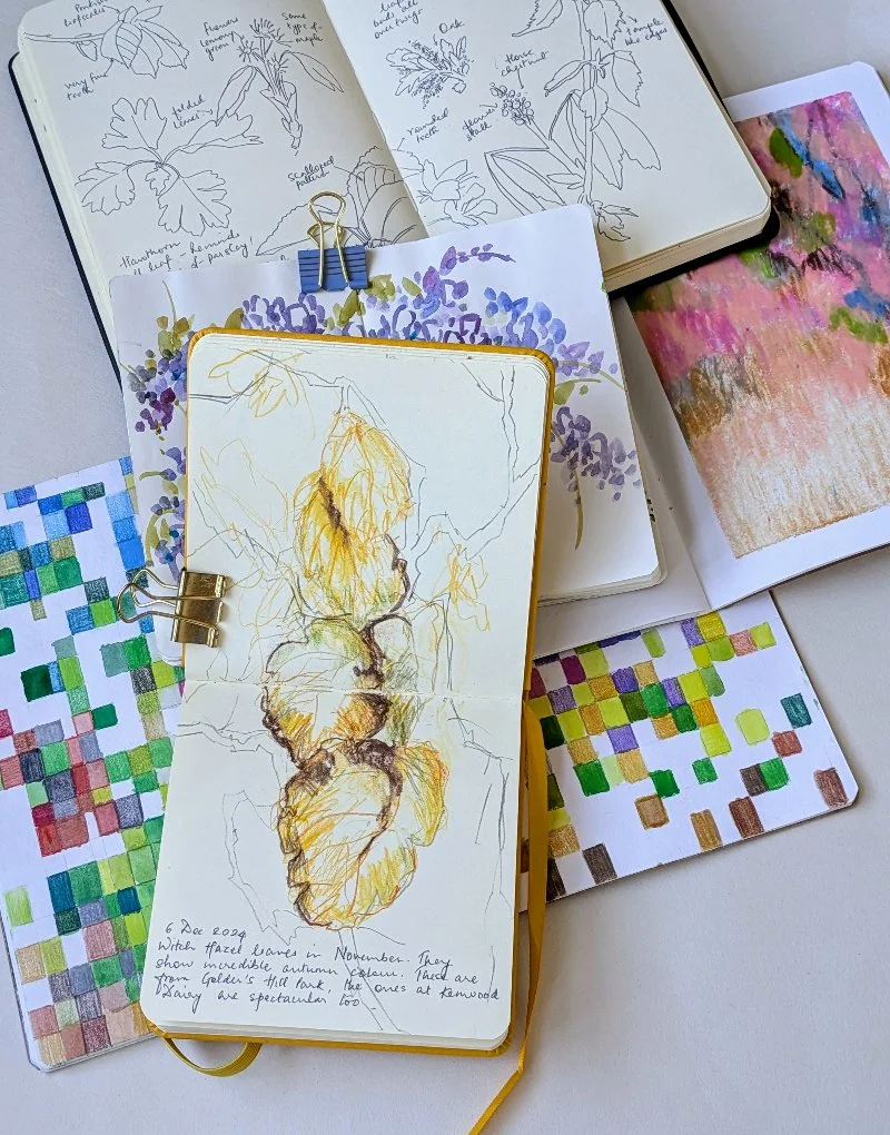 Dfac 1131 Example Nature Journaling Workshop on Hampstead Heath — Hampstead Heath ...