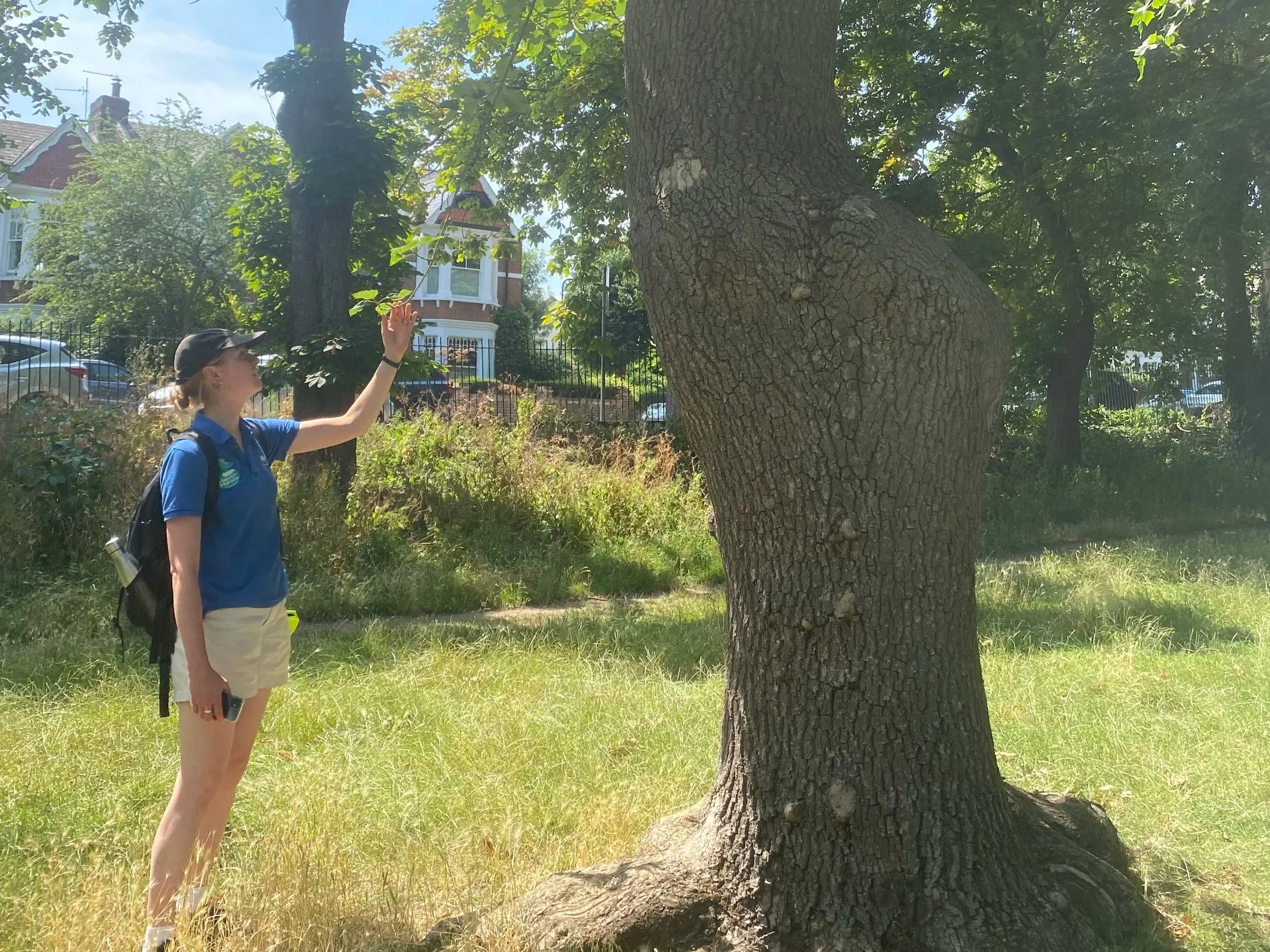 Queens Park volunteer
