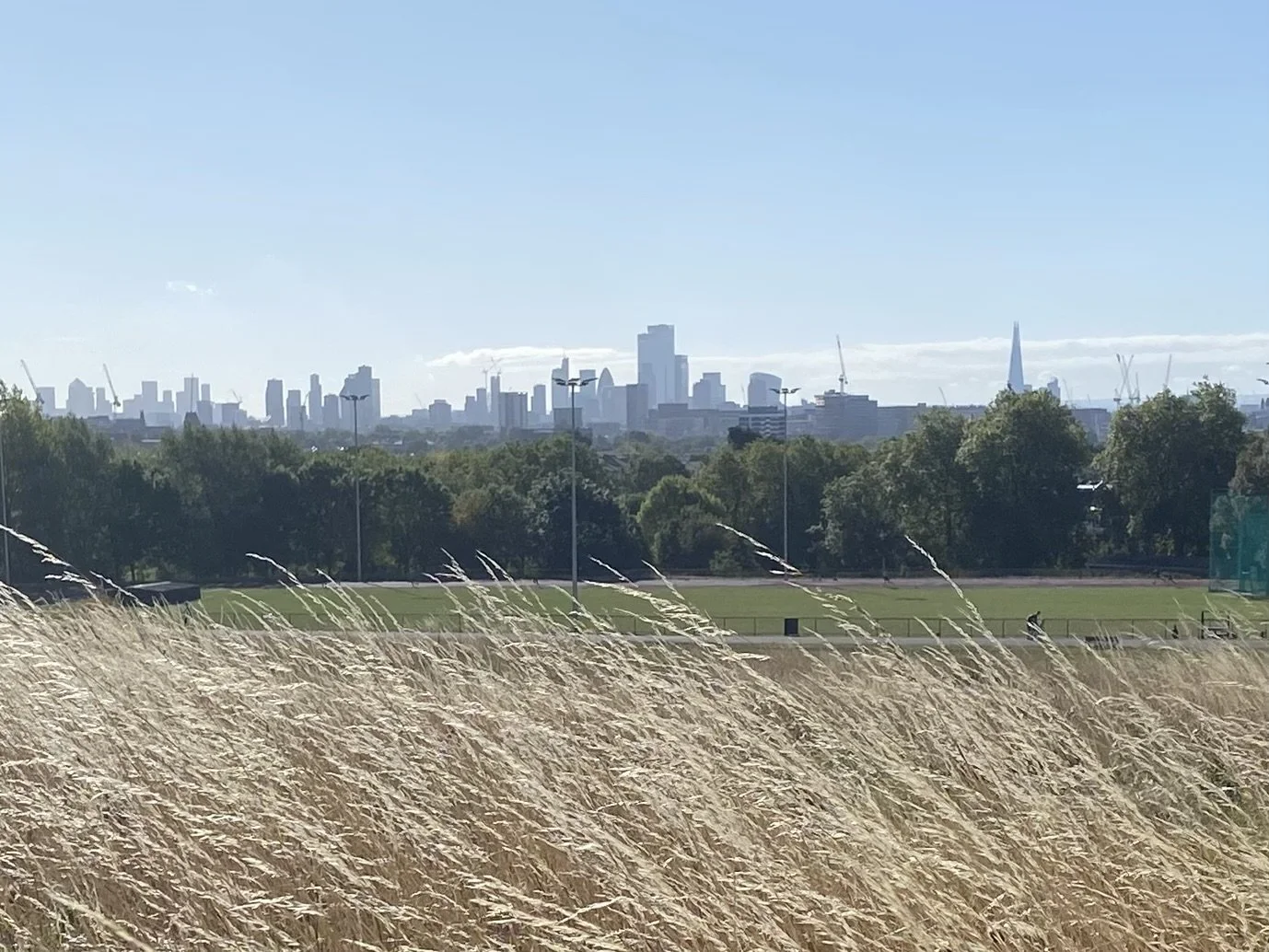 London view with meadow