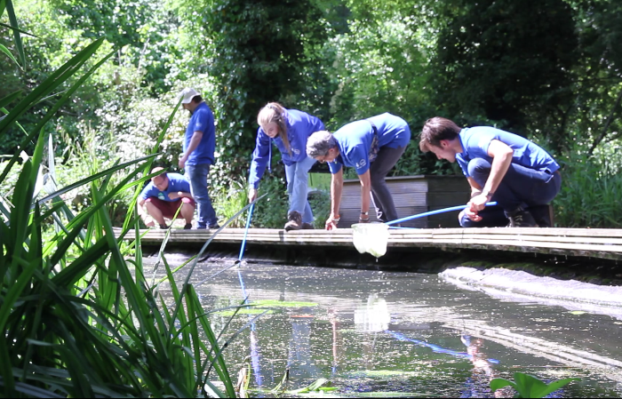 pond dipping wahh.png