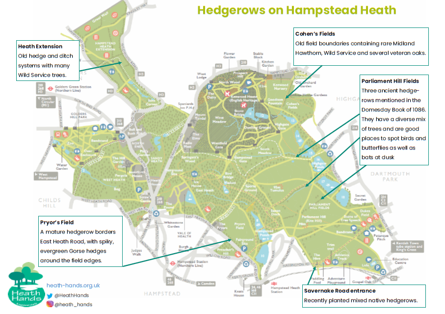 hedge map screenshot.png