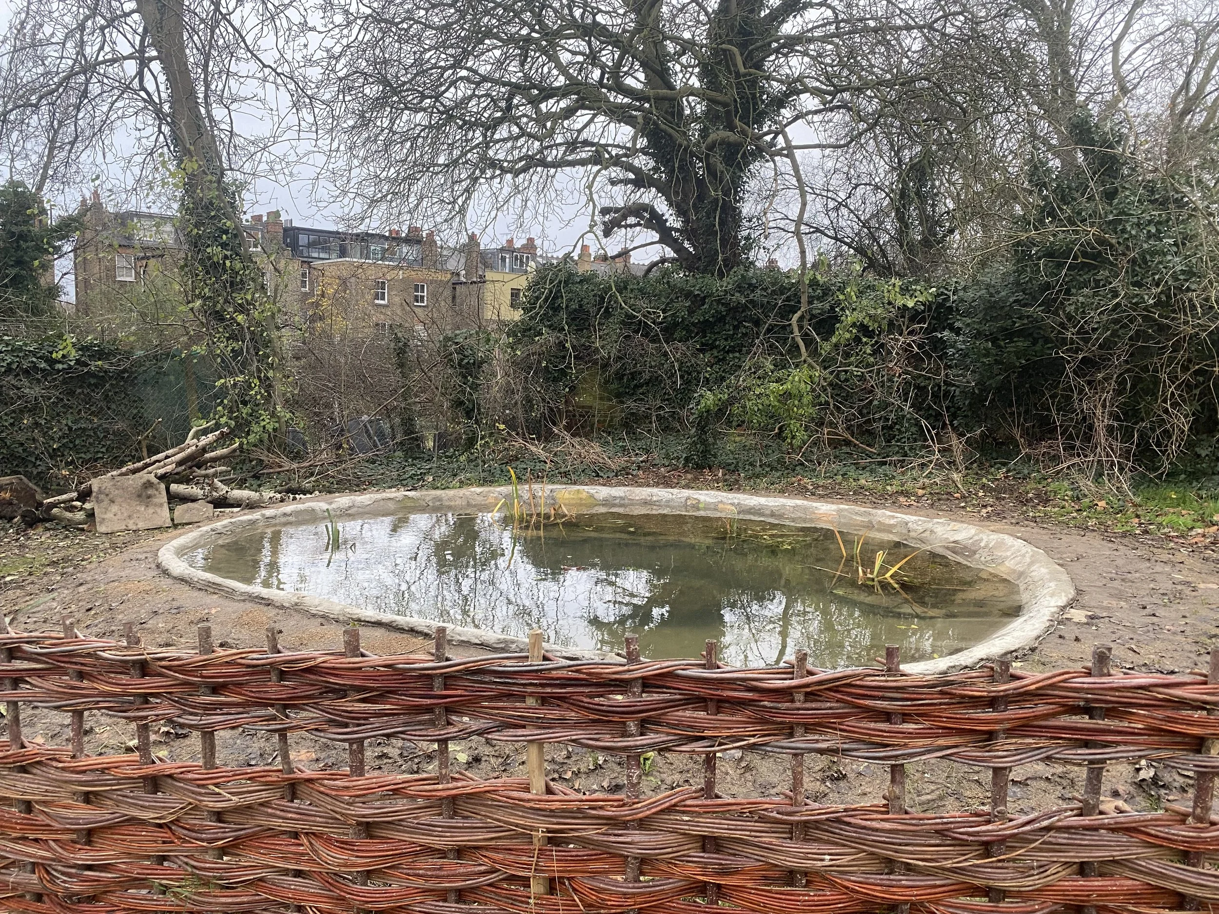Full pond, no vegetation