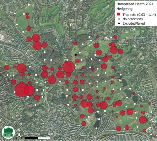 Hedgehog Friendly Heath project — Hampstead Heath - Conservation ...