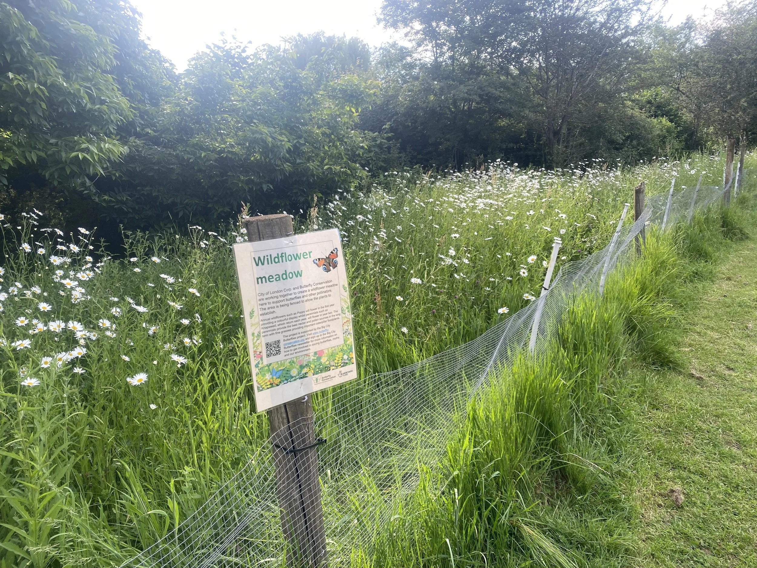Queens park.jpg