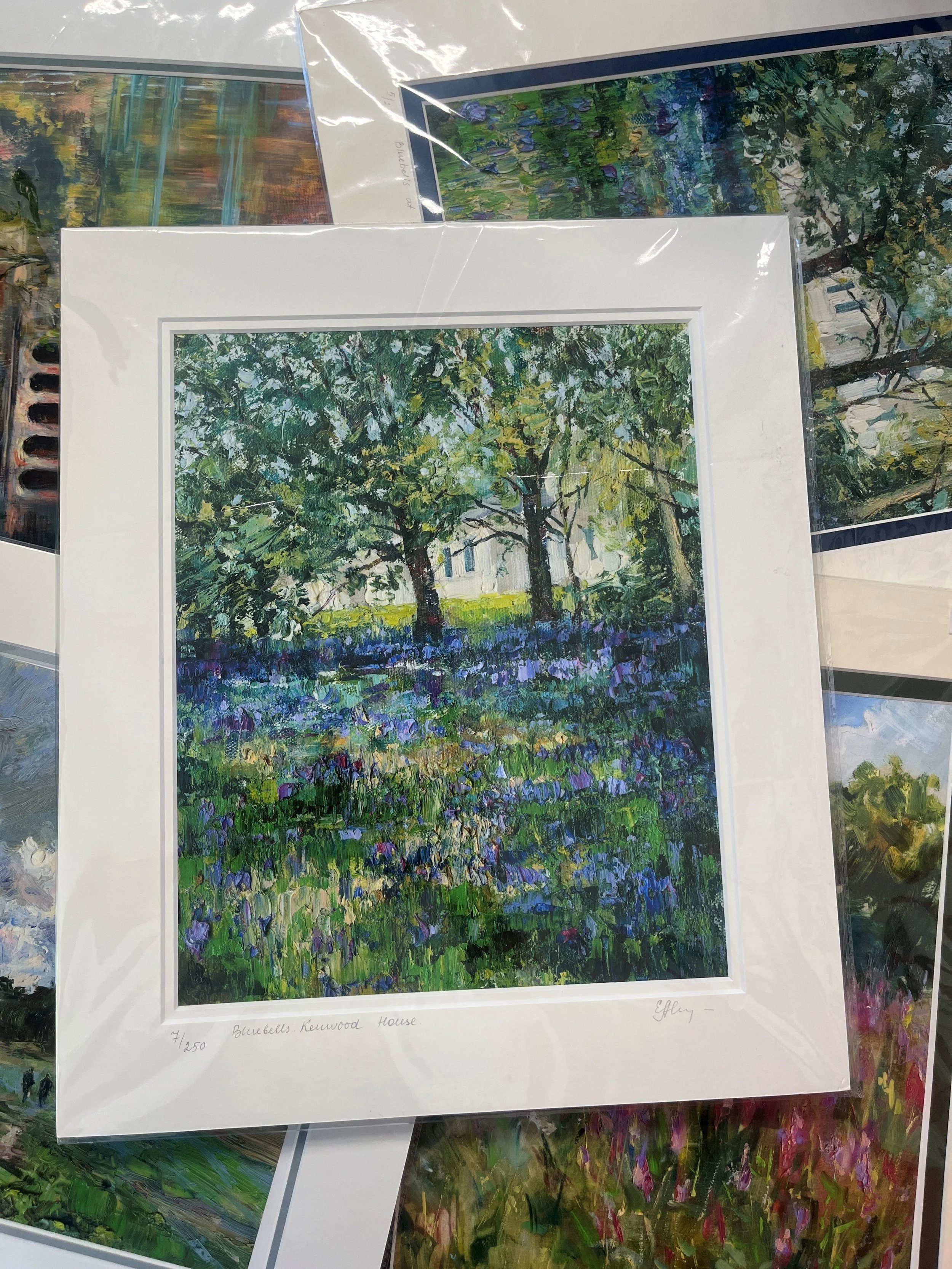 Bluebells at Kenwood House.jpg