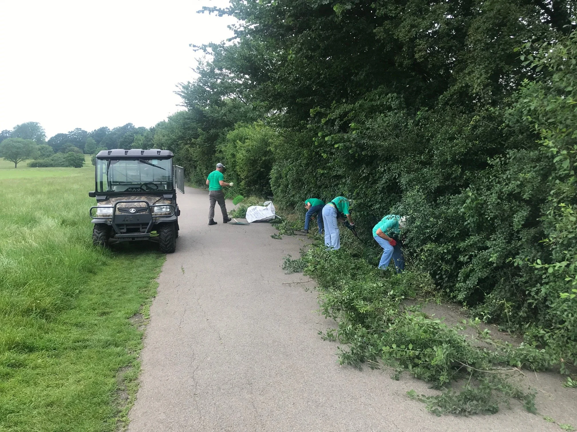 Parliament hill hedge conservation.jpg