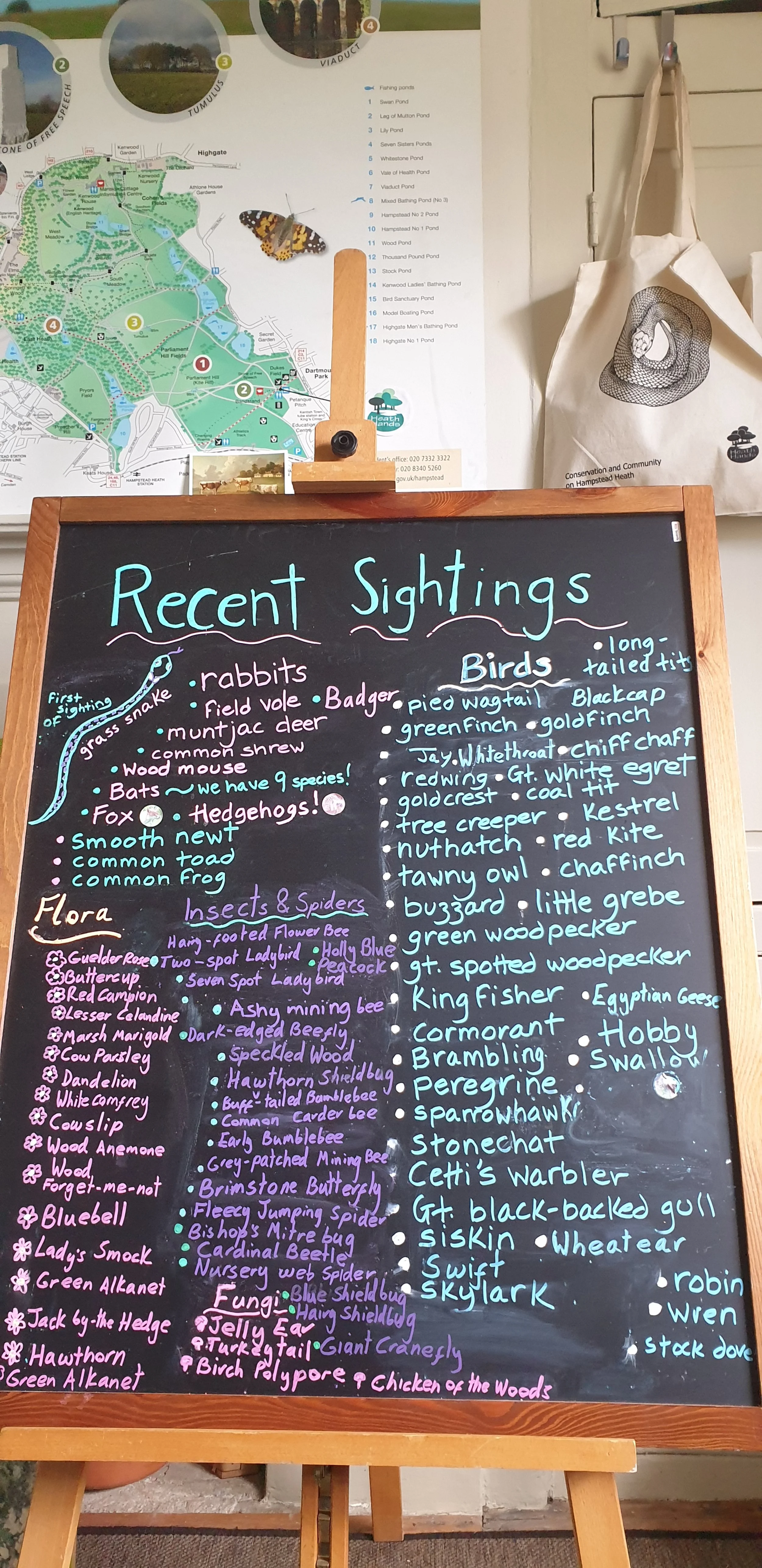 Dairy sightings board 20240515_173048.jpg