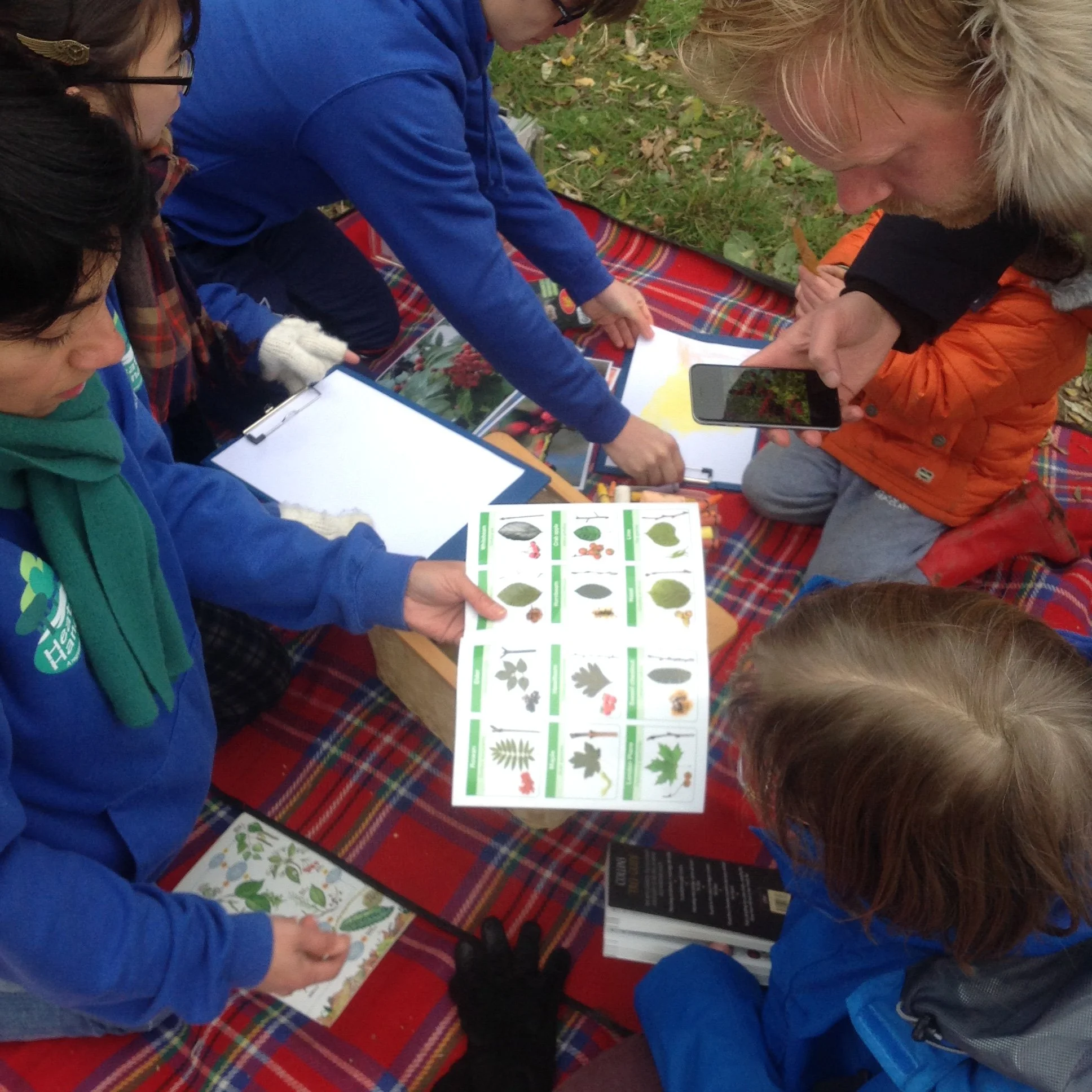 tree id activity