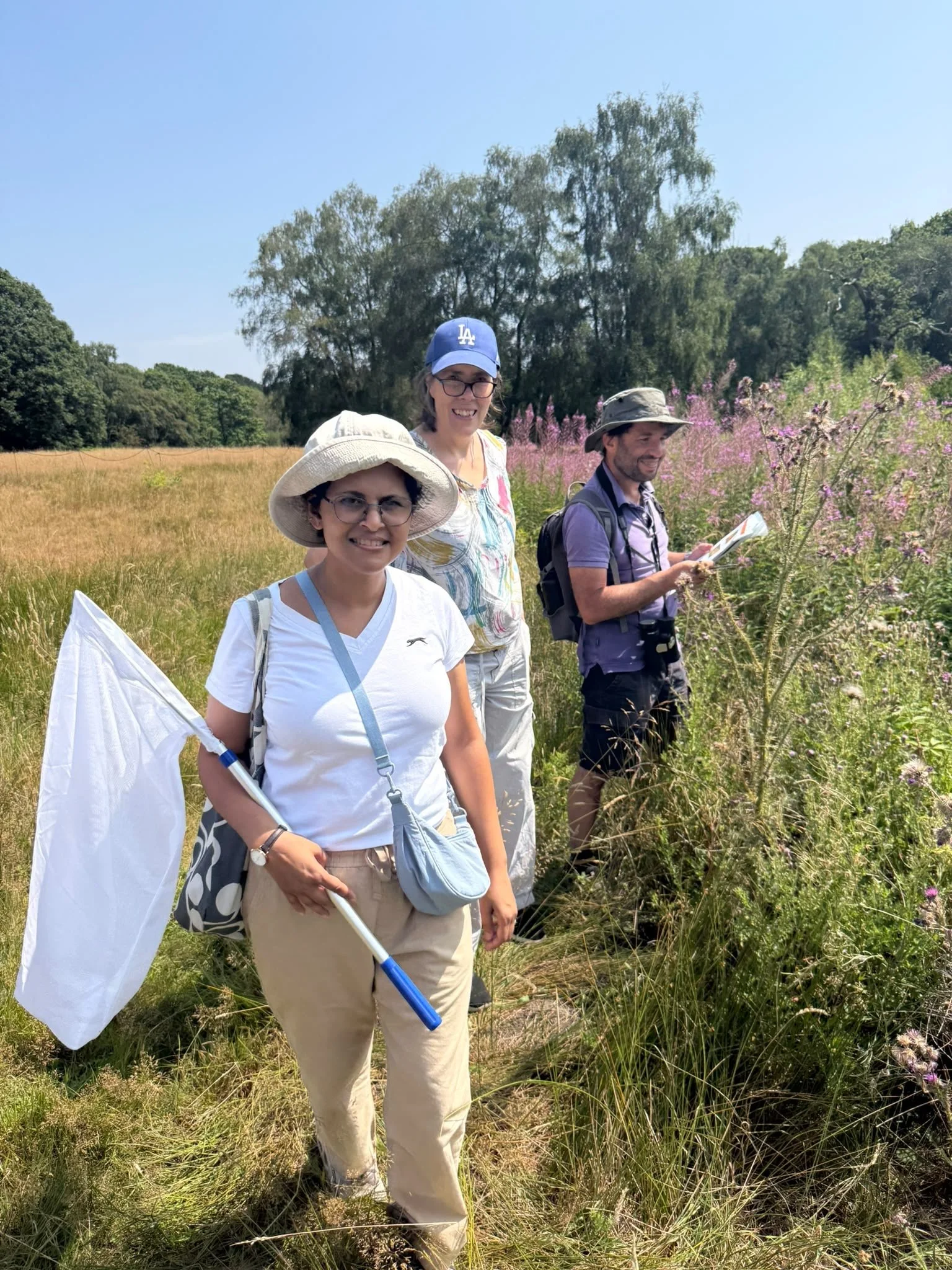 Butterfly monitors on Hampstead Heath