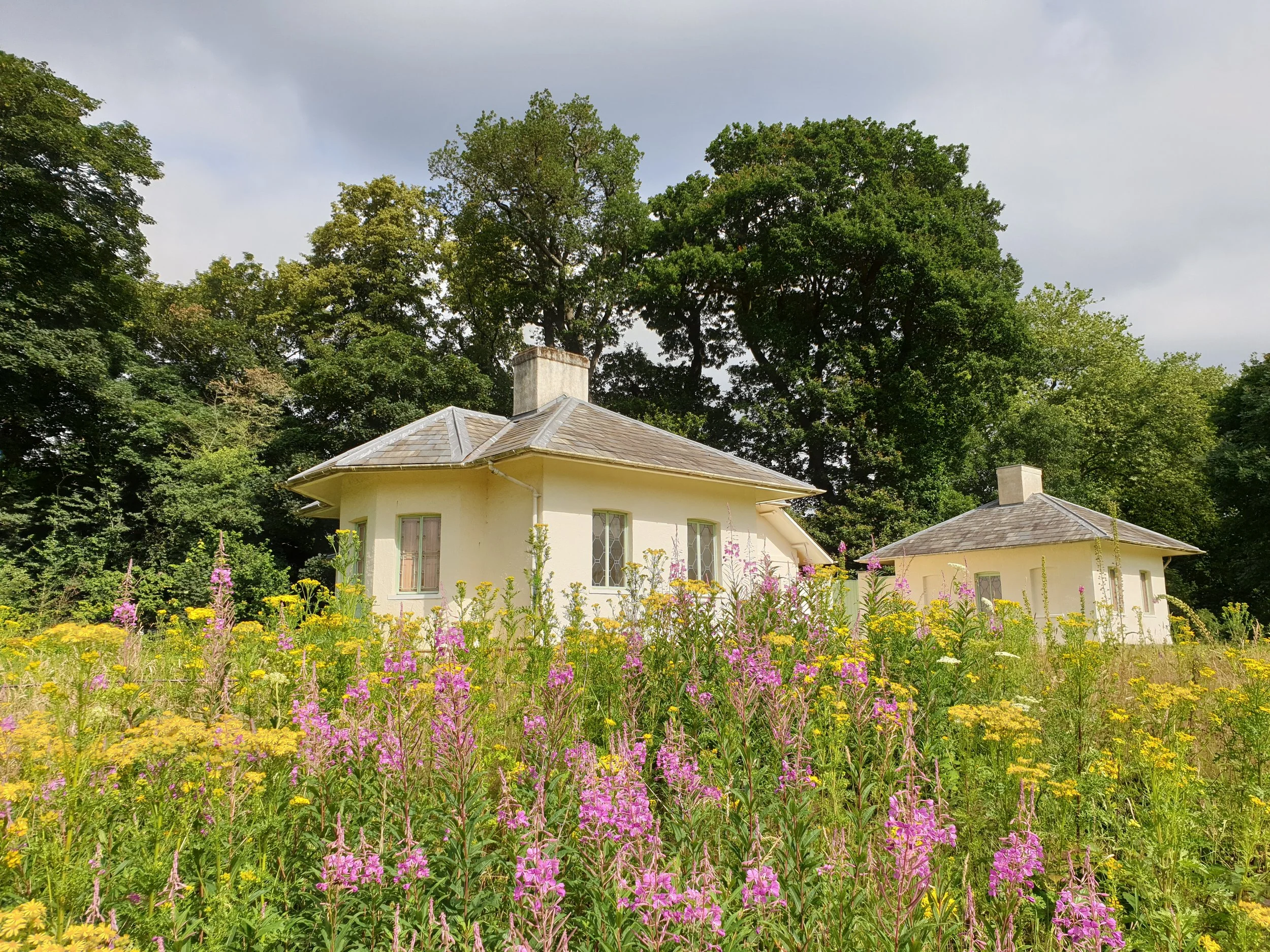 Kenwood Dairy open day