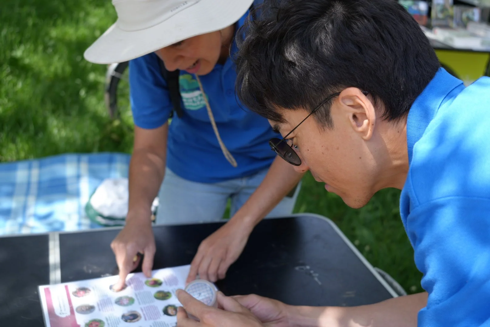 Wildlife interpreters identifying a bug using an ID sheet