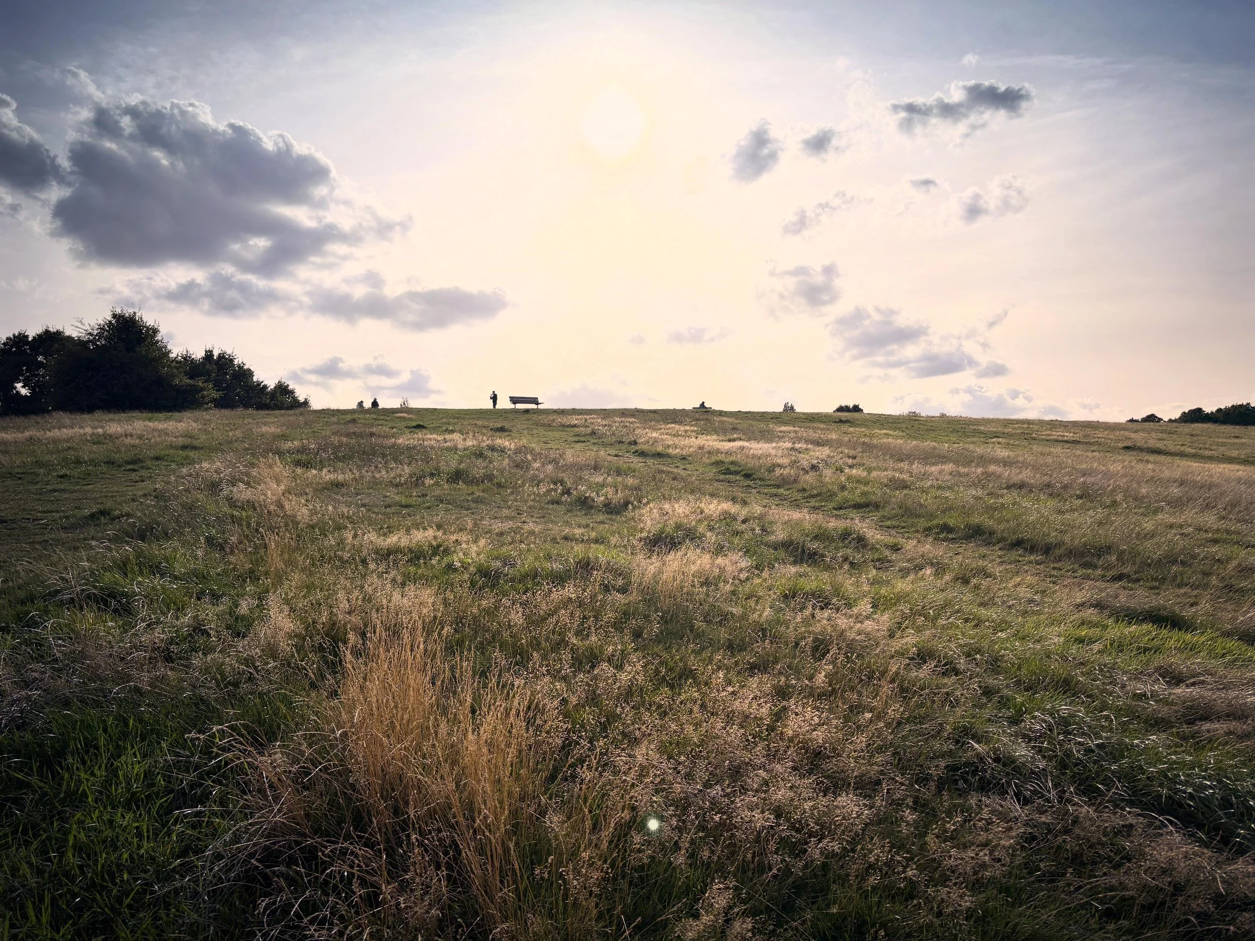 Parliament Hill dusk