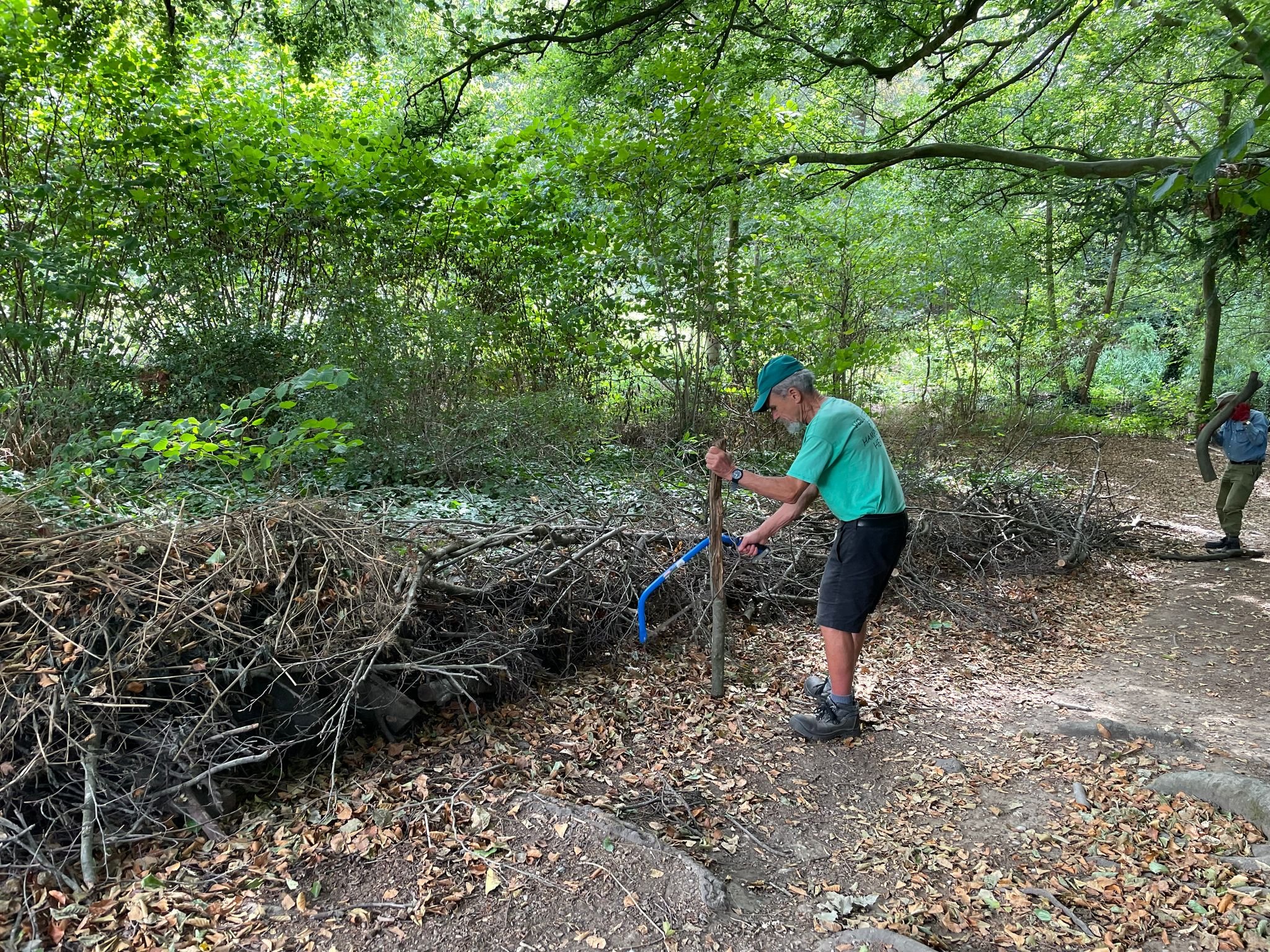 dead hedge conservation volunteer.jpeg