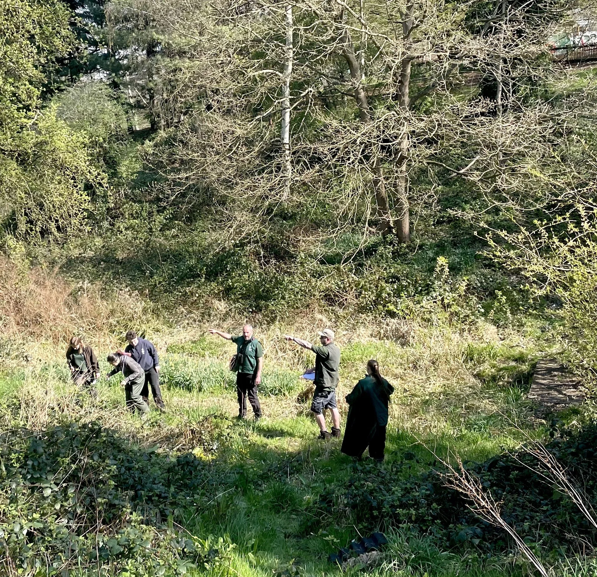 Reptile monitors checking refugia in Golders Hill Park