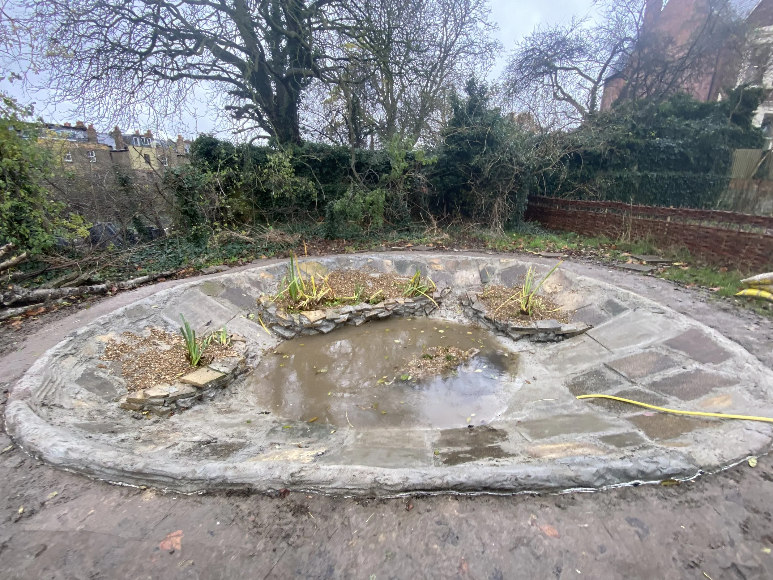 Empty pond