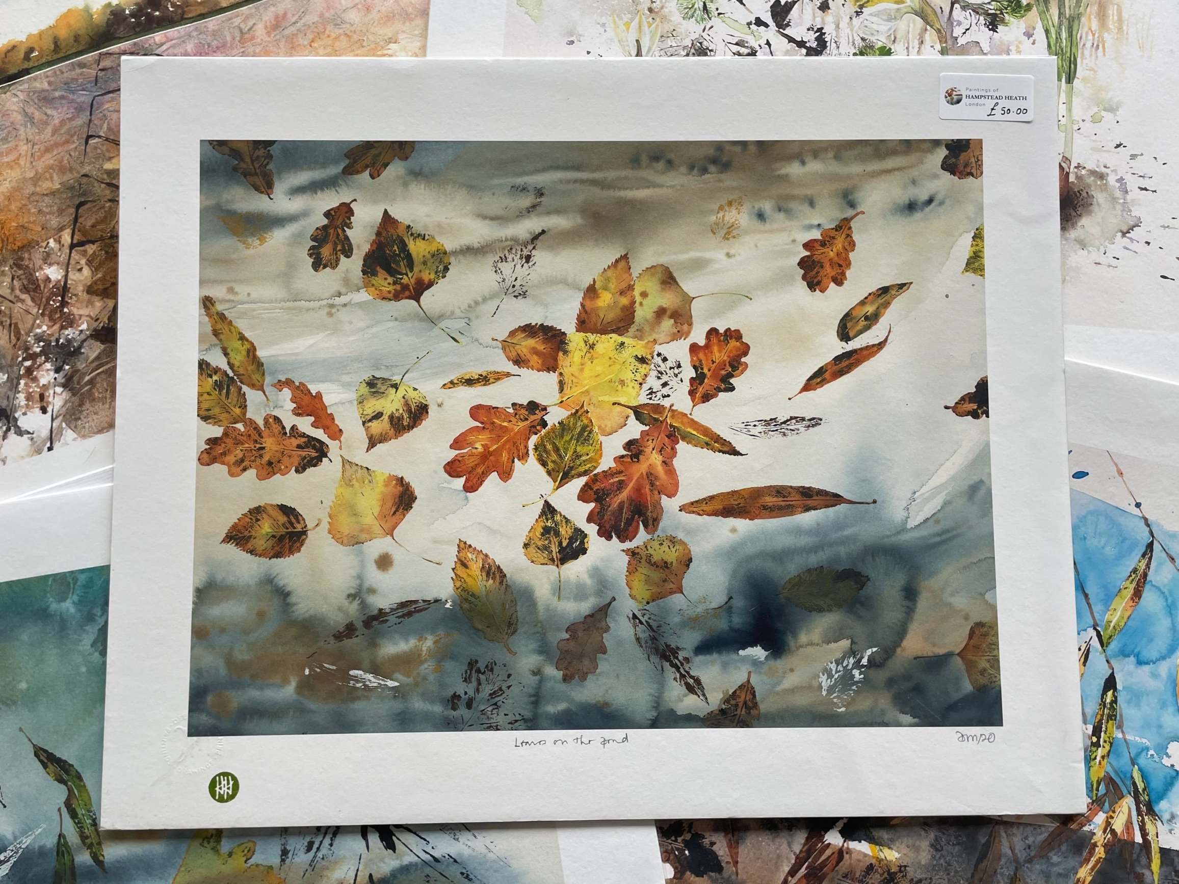 Leaves+on+the+pond+%28Dee%29.jpg