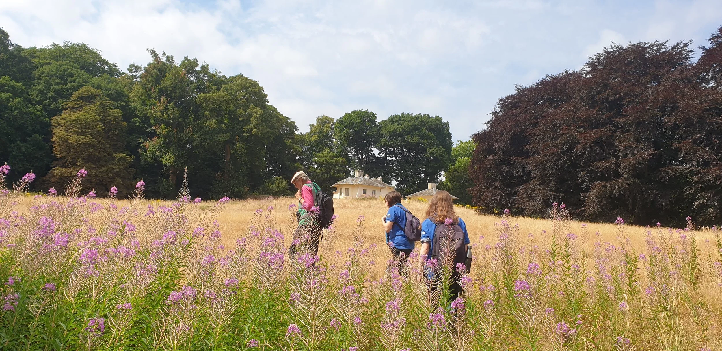 Butterfly monitors on the Kenwood Estate 