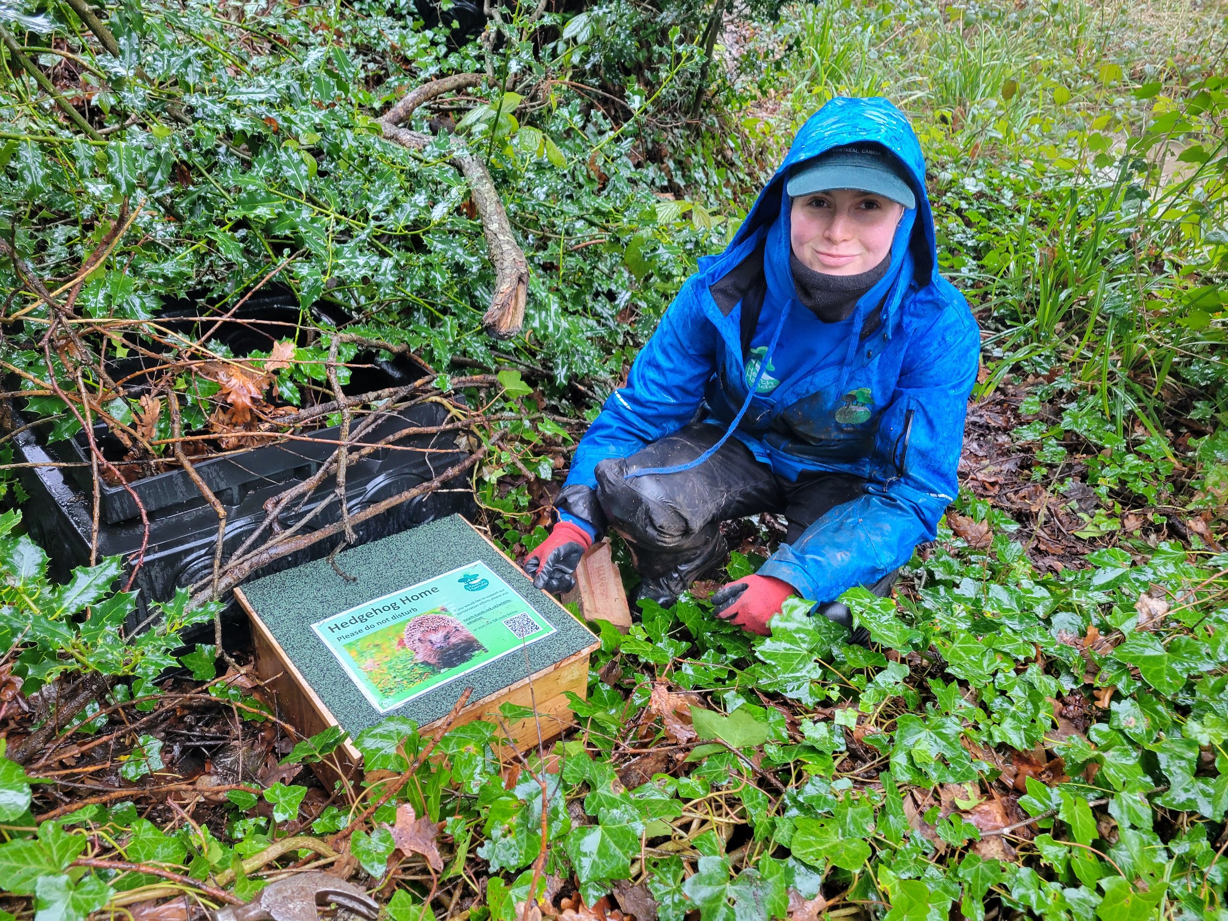 Hampstead Heath hedgehog box