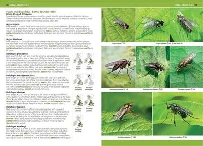 fly guide 2.jpg