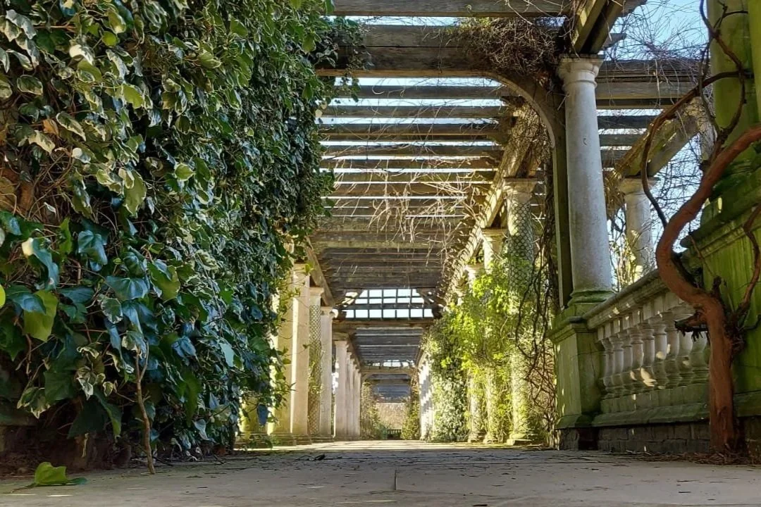The hill garden pergola