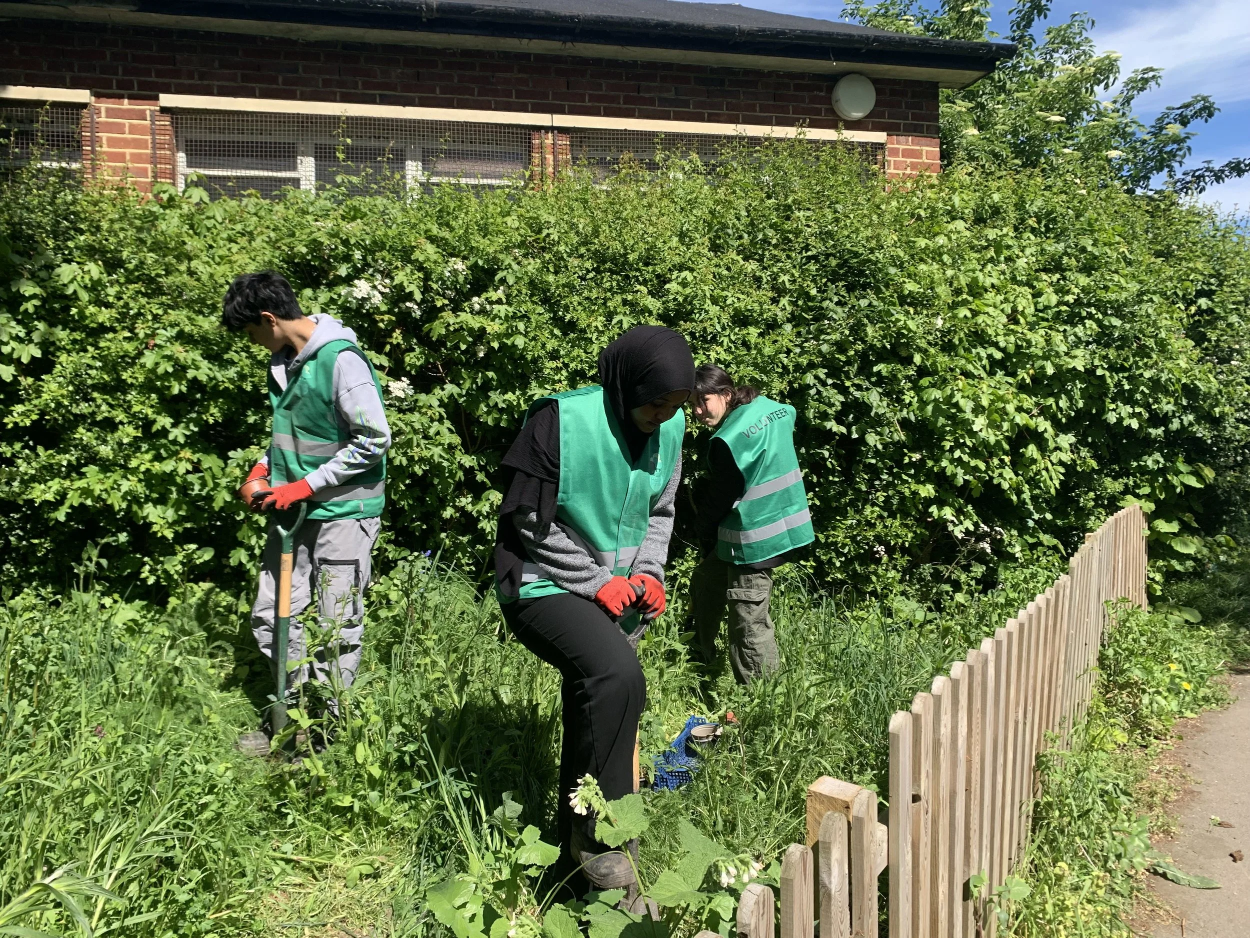 Heath Hands Youth volunteers weeding the wildflower meadow