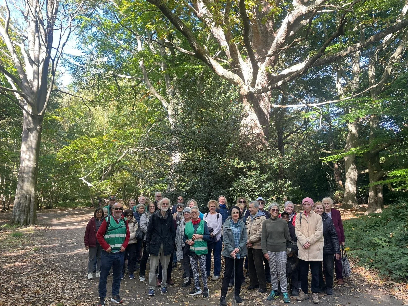 Hampstead Heath walkers