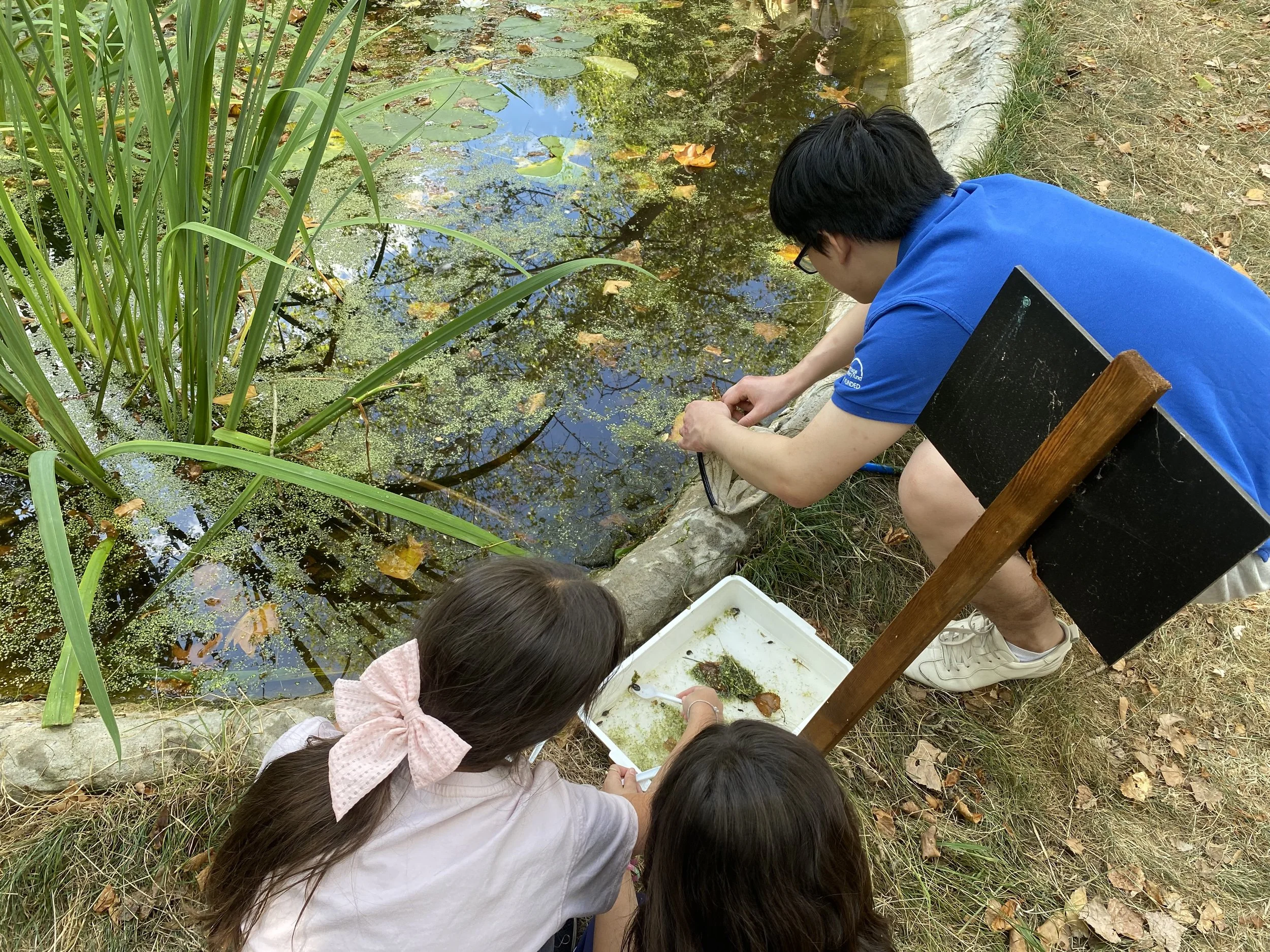 Wildlife interpreters pond dipping in the Hive wildlife pond