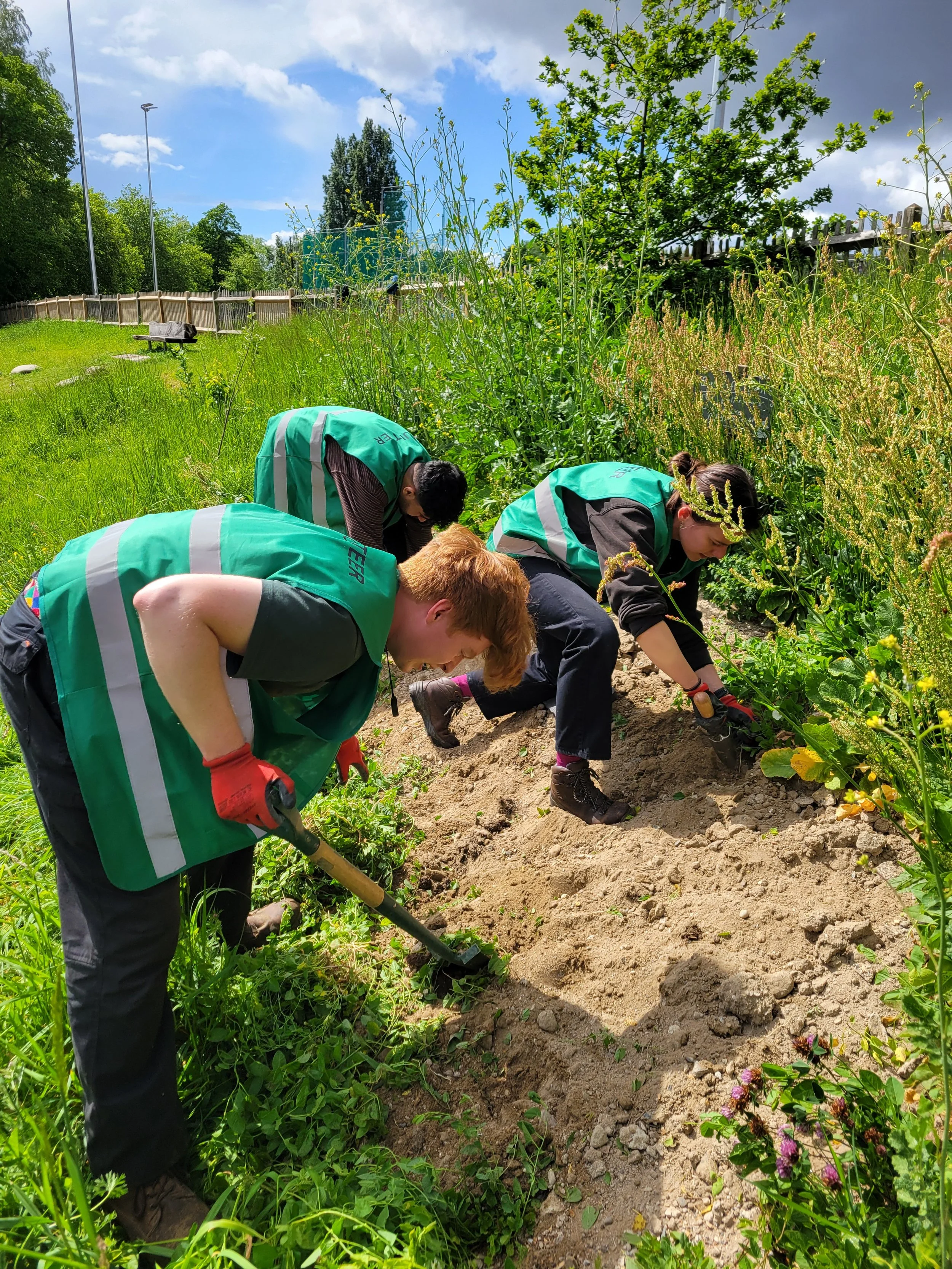 Bee bank volunteers