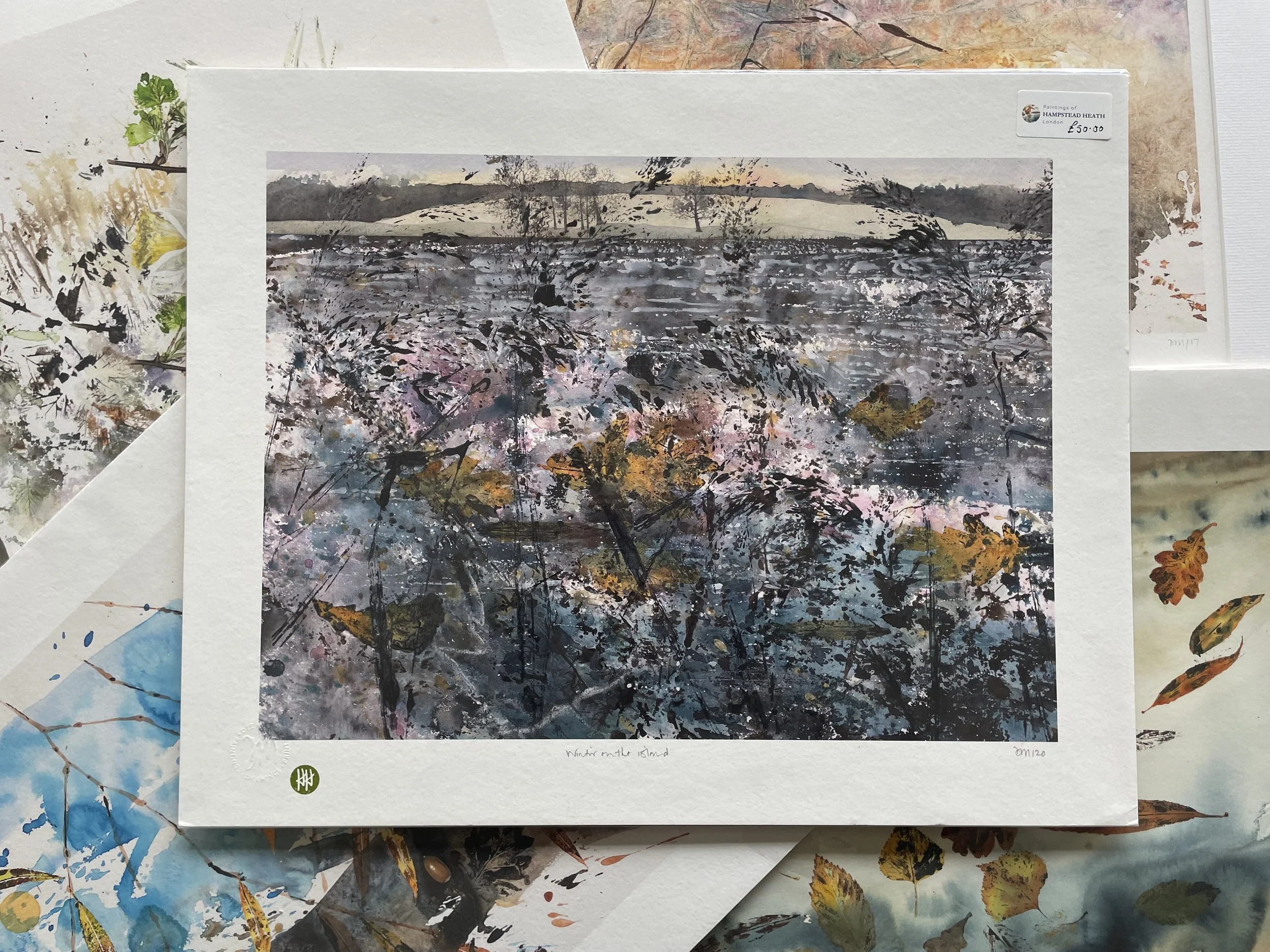 Winter on the Island Art Print